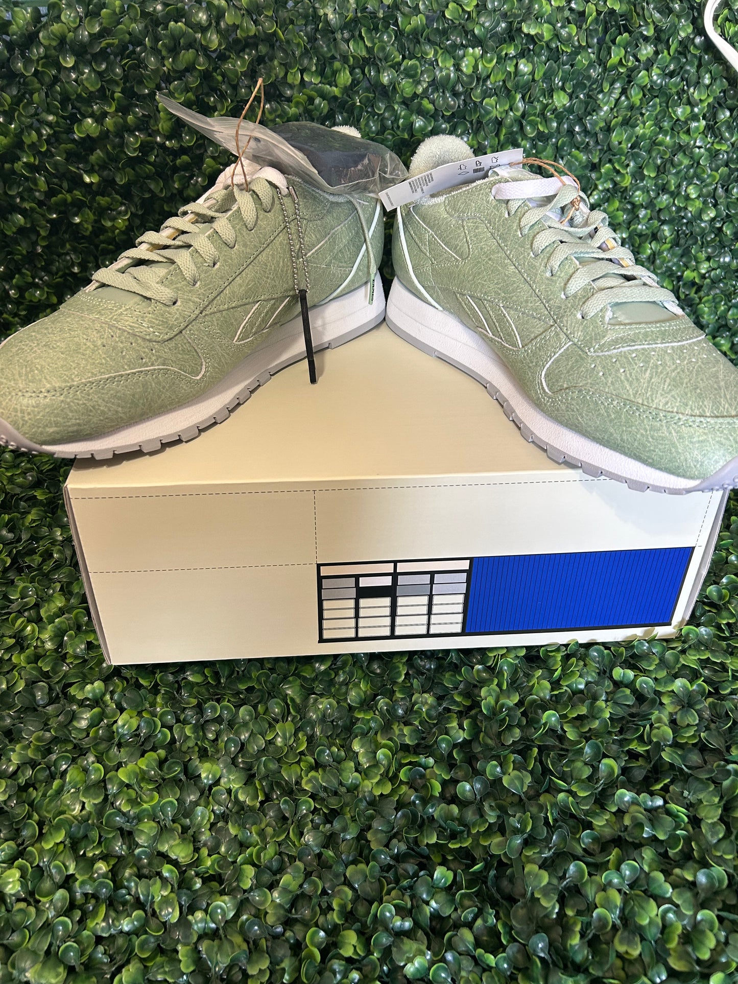 Reebok size 10.5