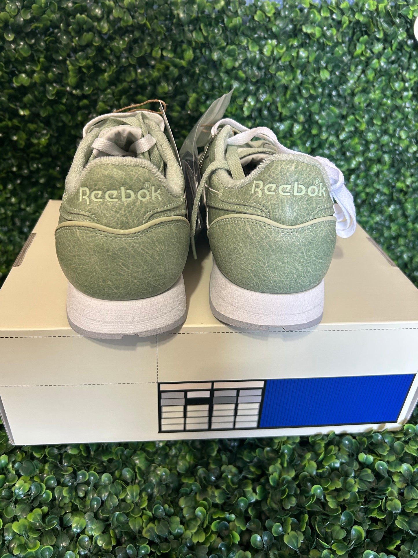Reebok size 10.5