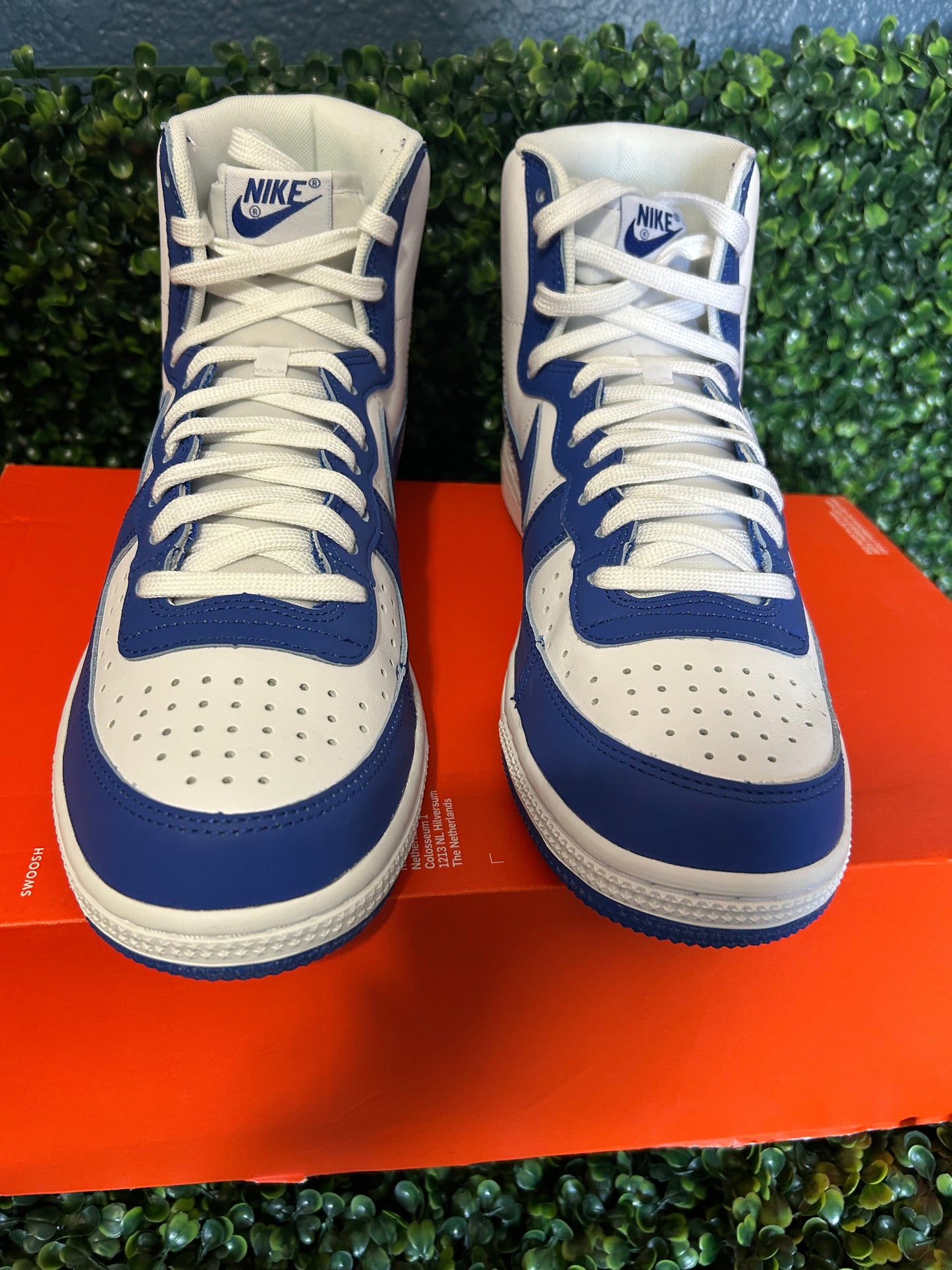 Nike terminator size 10.5