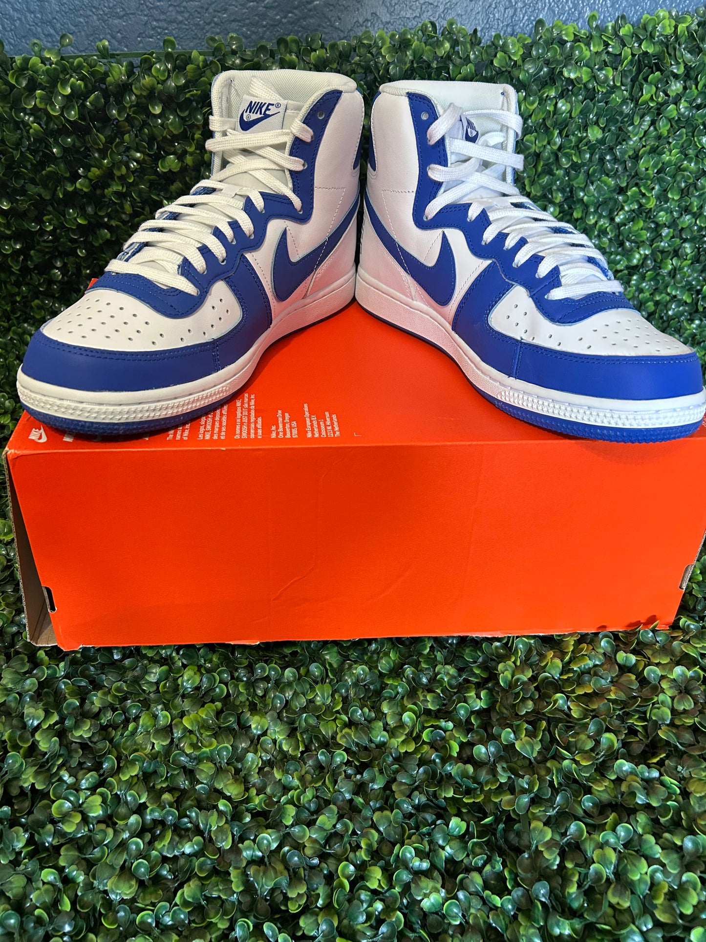 Nike terminator size 10.5