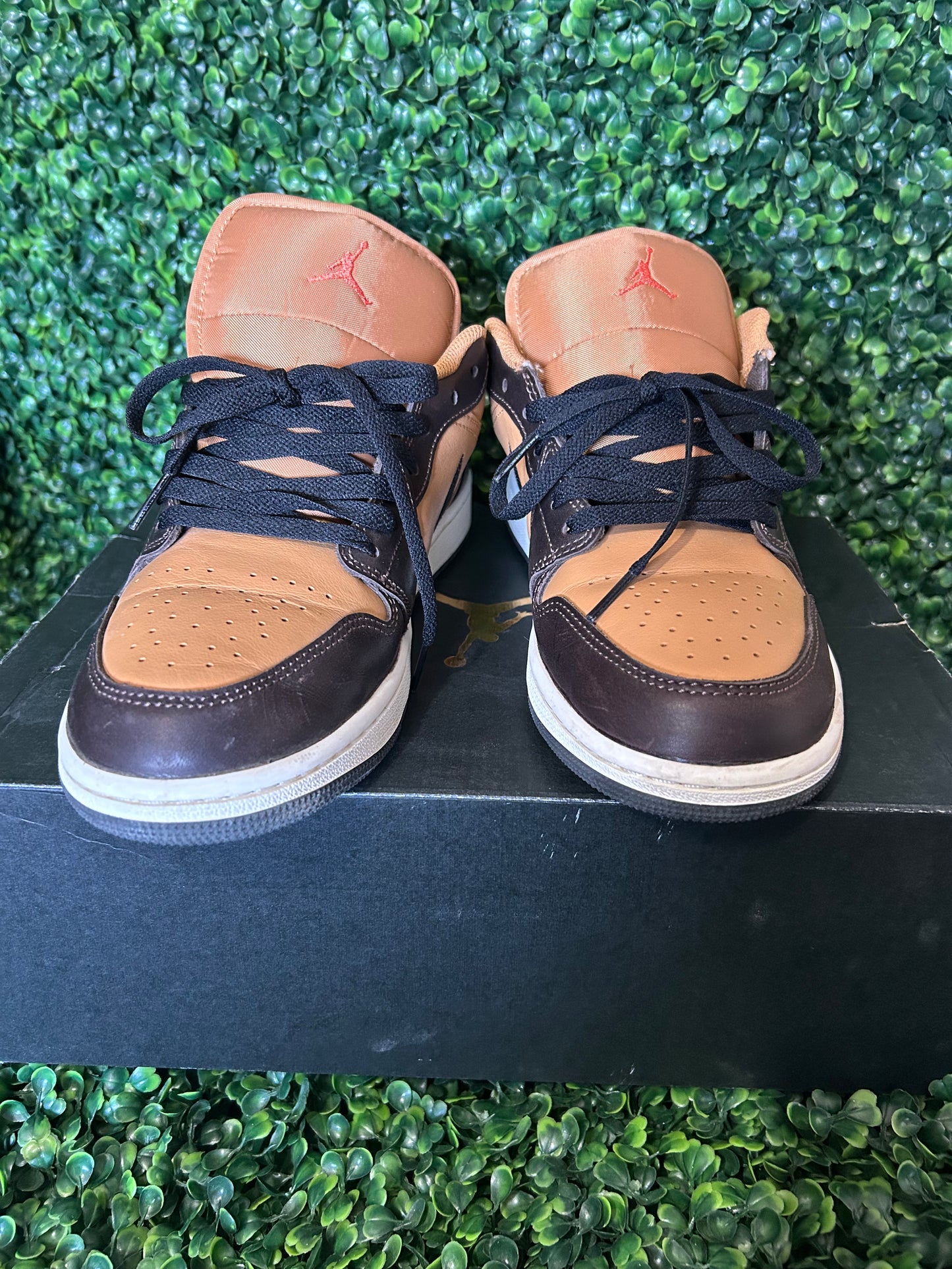 Air Jordan 1 size 9