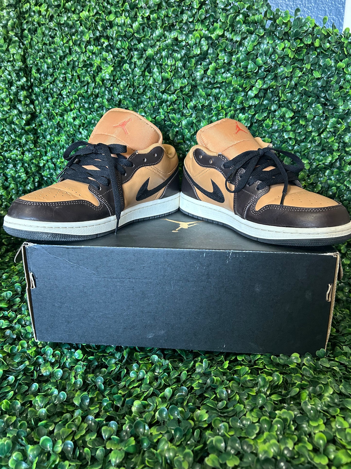 Air Jordan 1 size 9