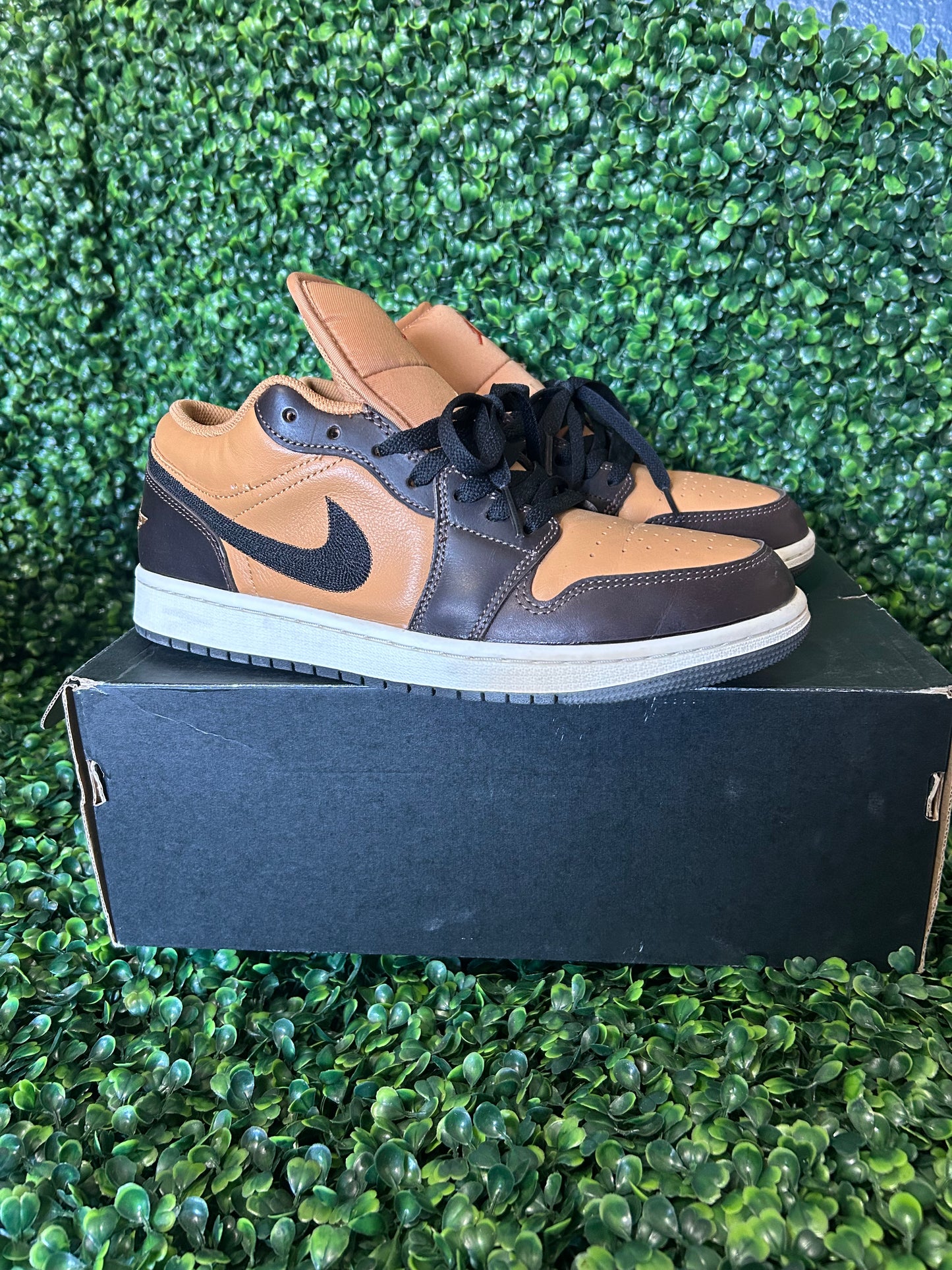 Air Jordan 1 size 9