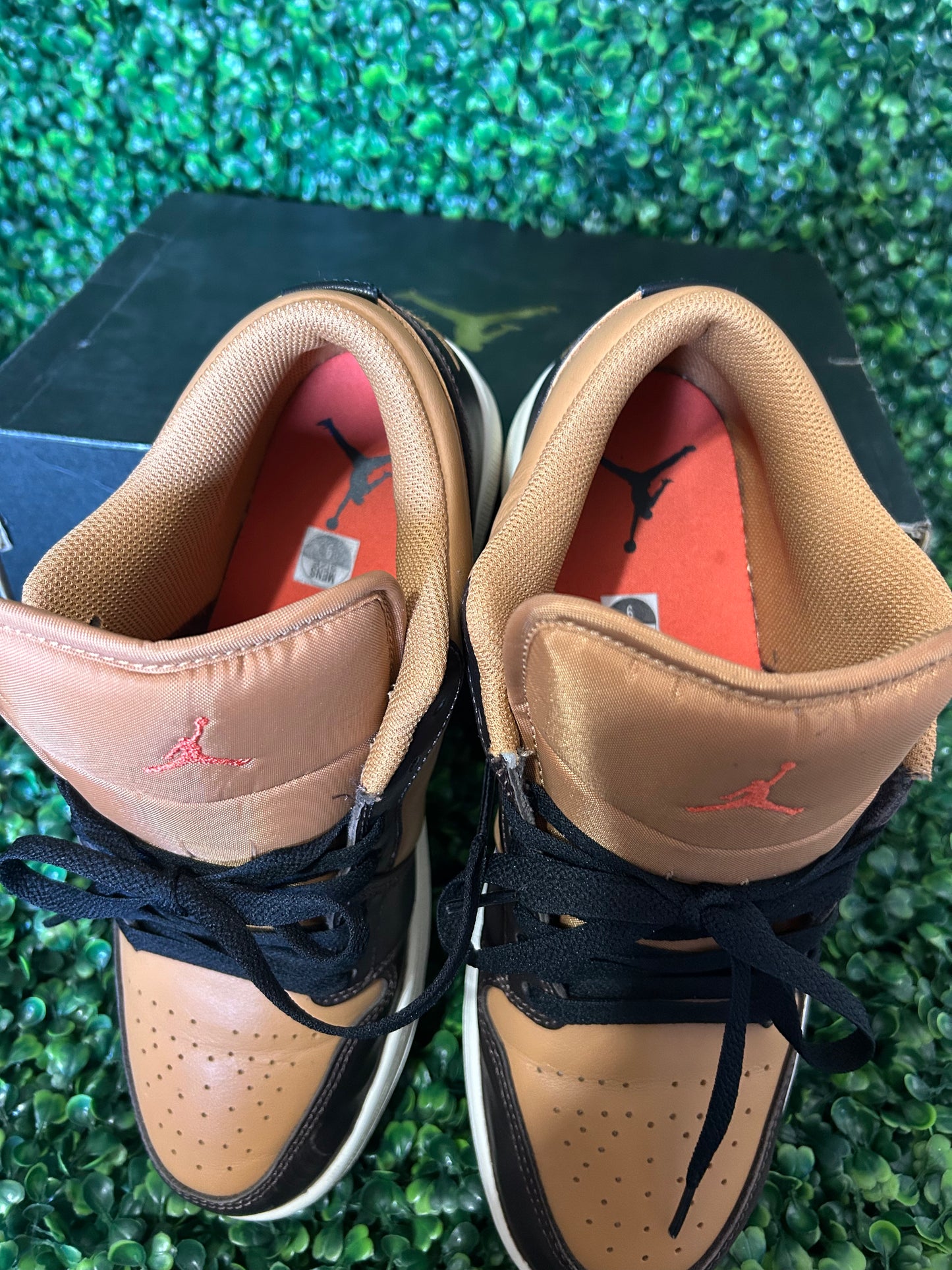 Air Jordan 1 size 9