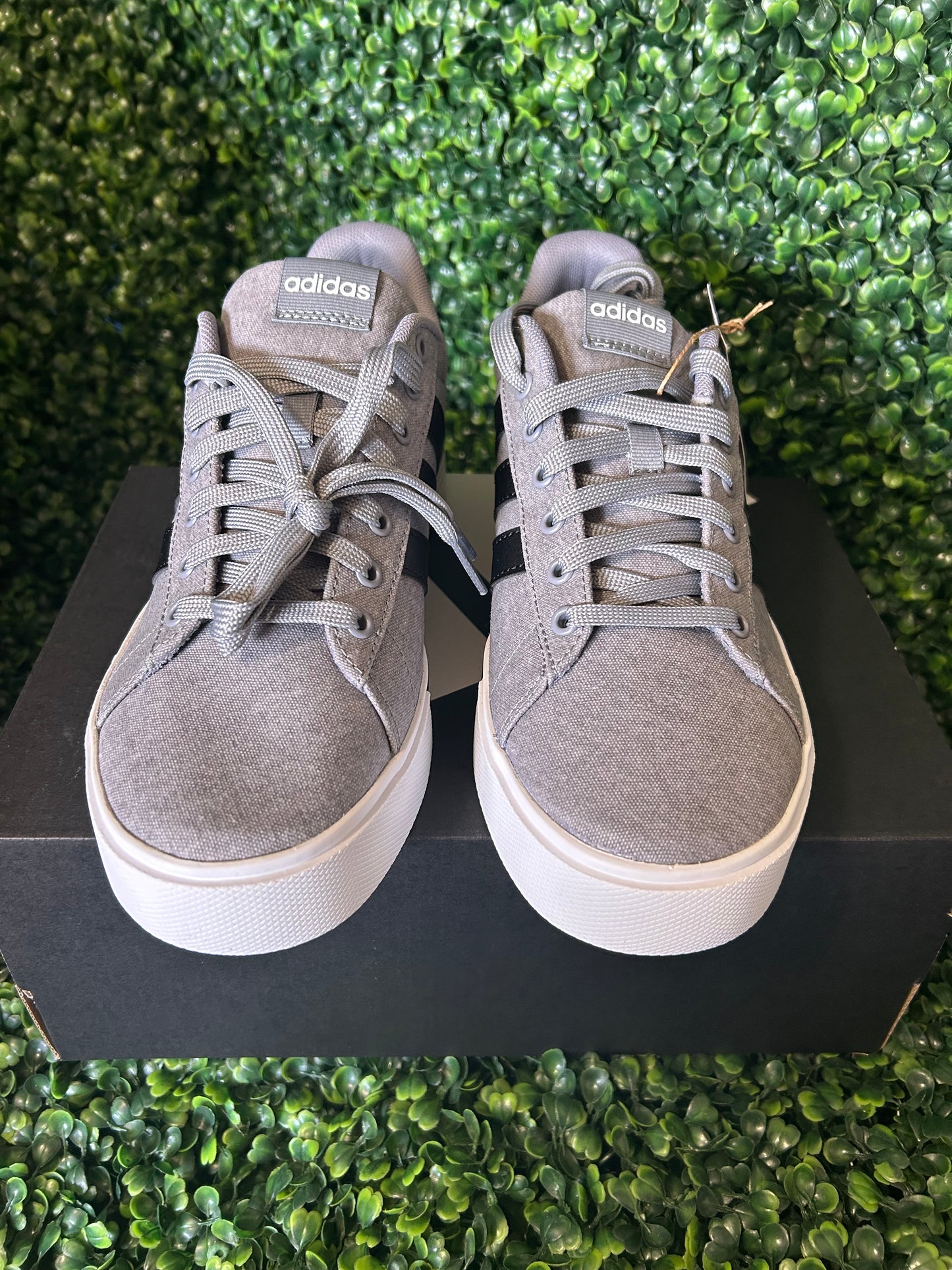 Adidas daily size 8/8.5/9