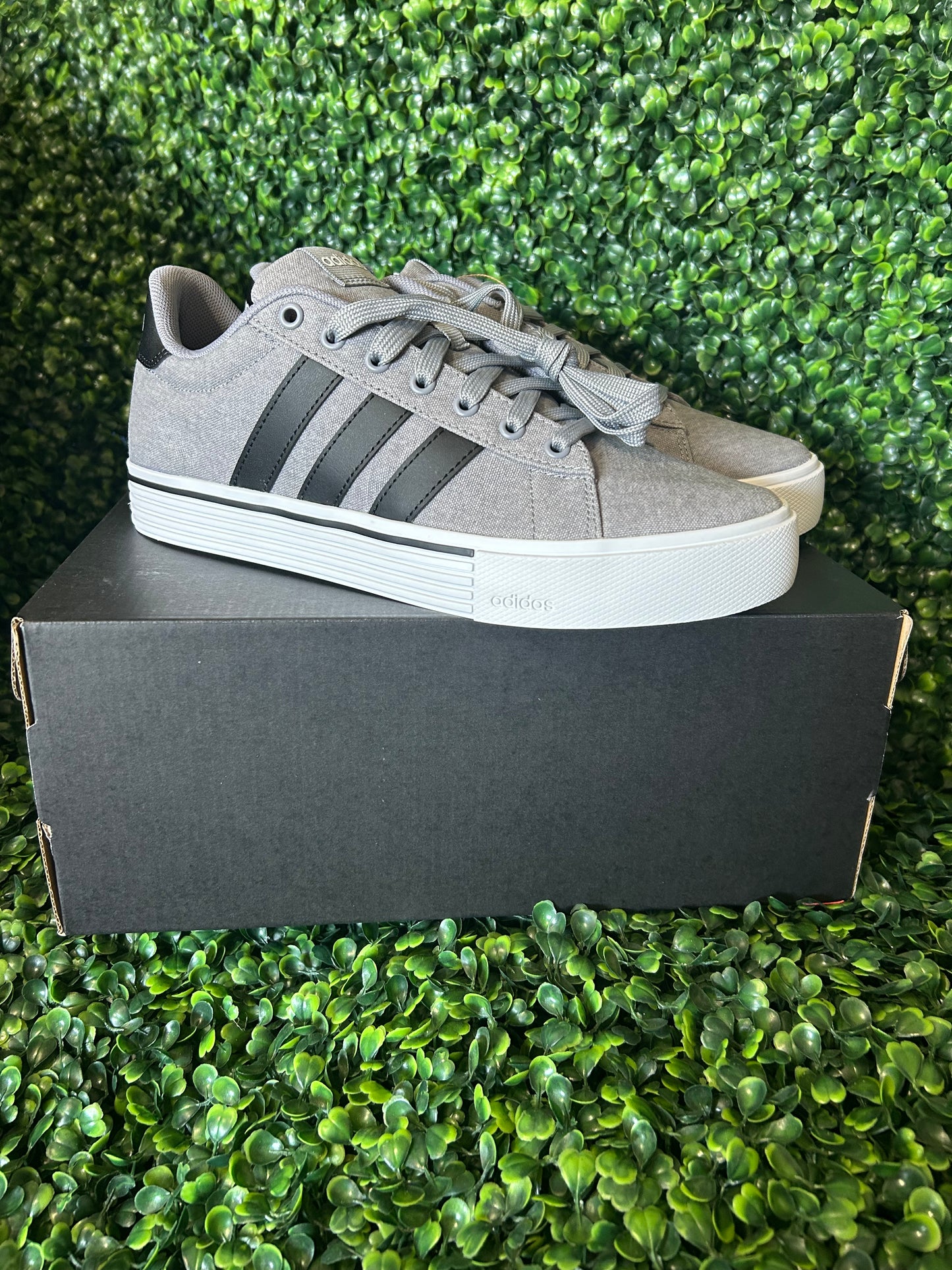 Adidas daily size 8/8.5/9