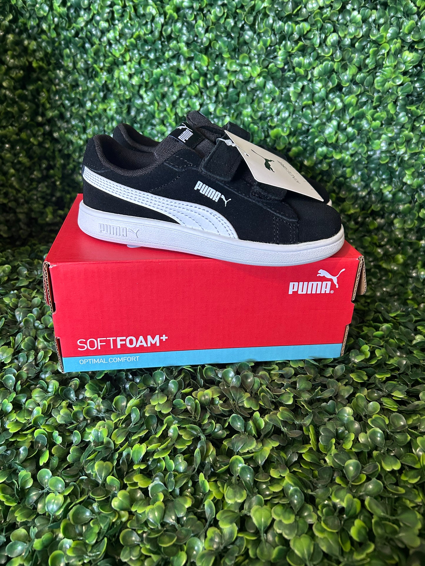 Puma smash size 9c size 10c