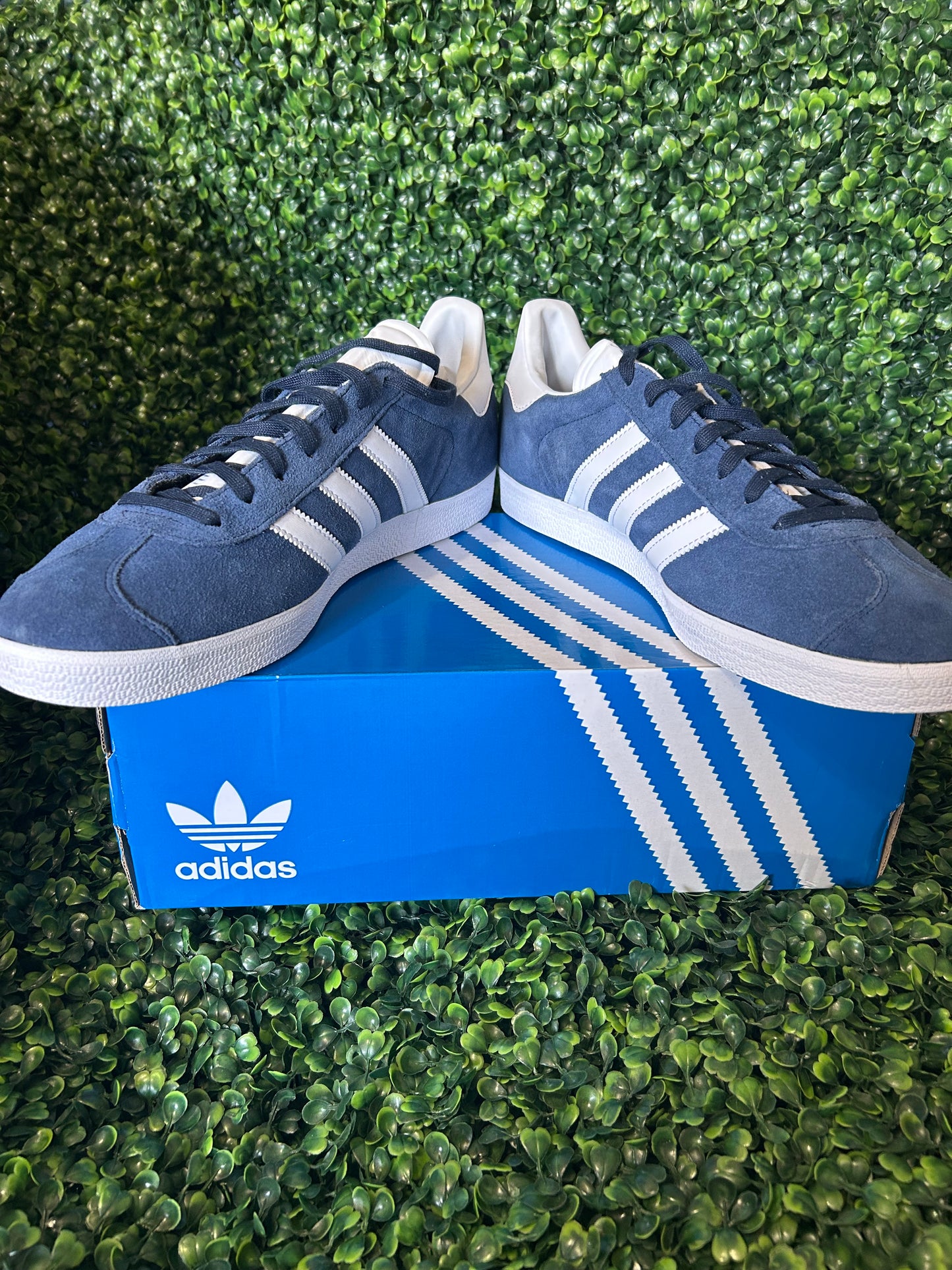 Adidas gazelle size 11.5