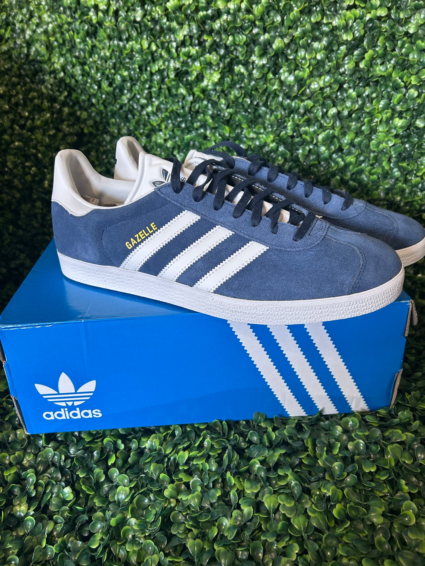 Adidas gazelle size 11.5