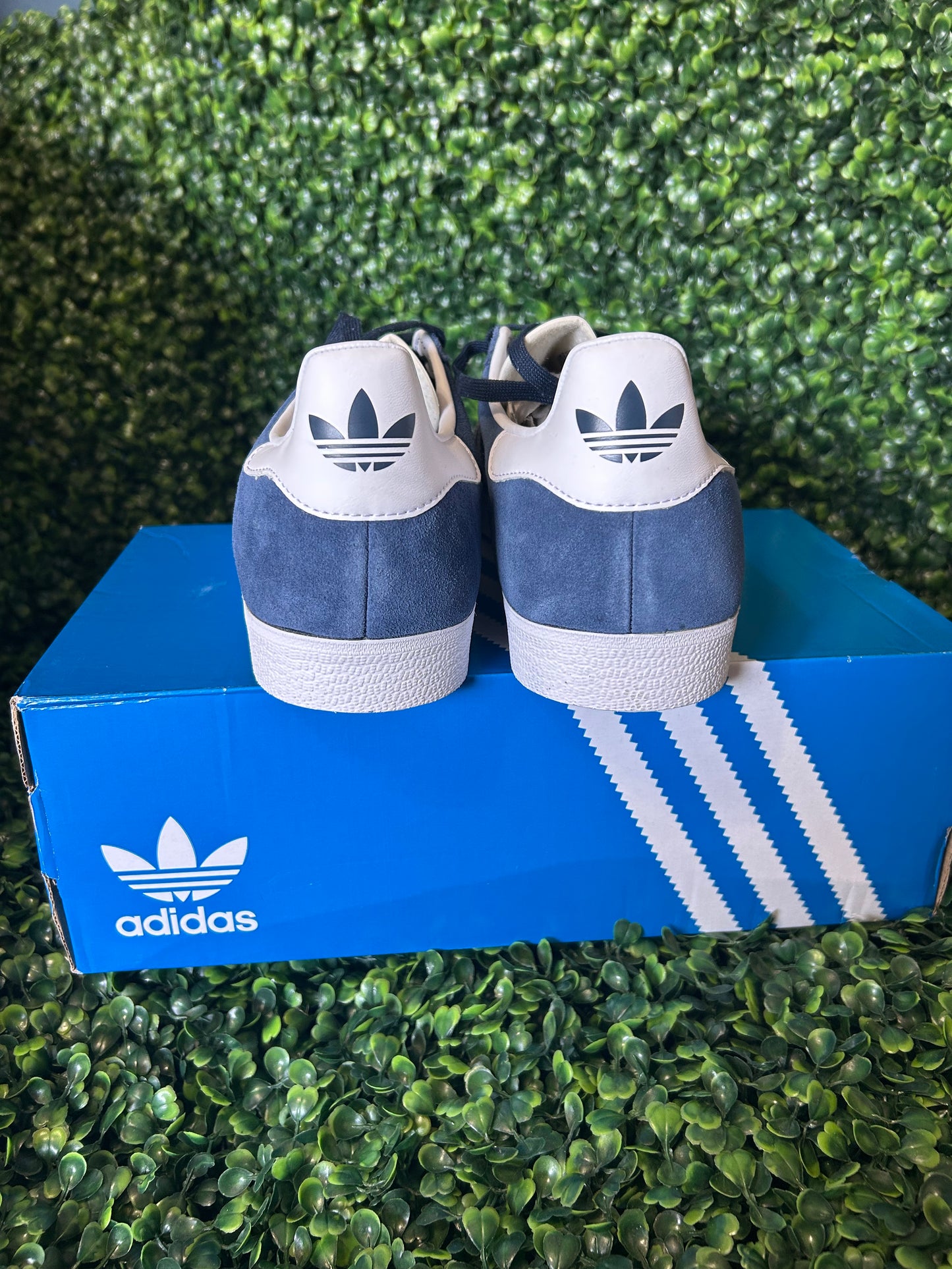 Adidas gazelle size 11.5