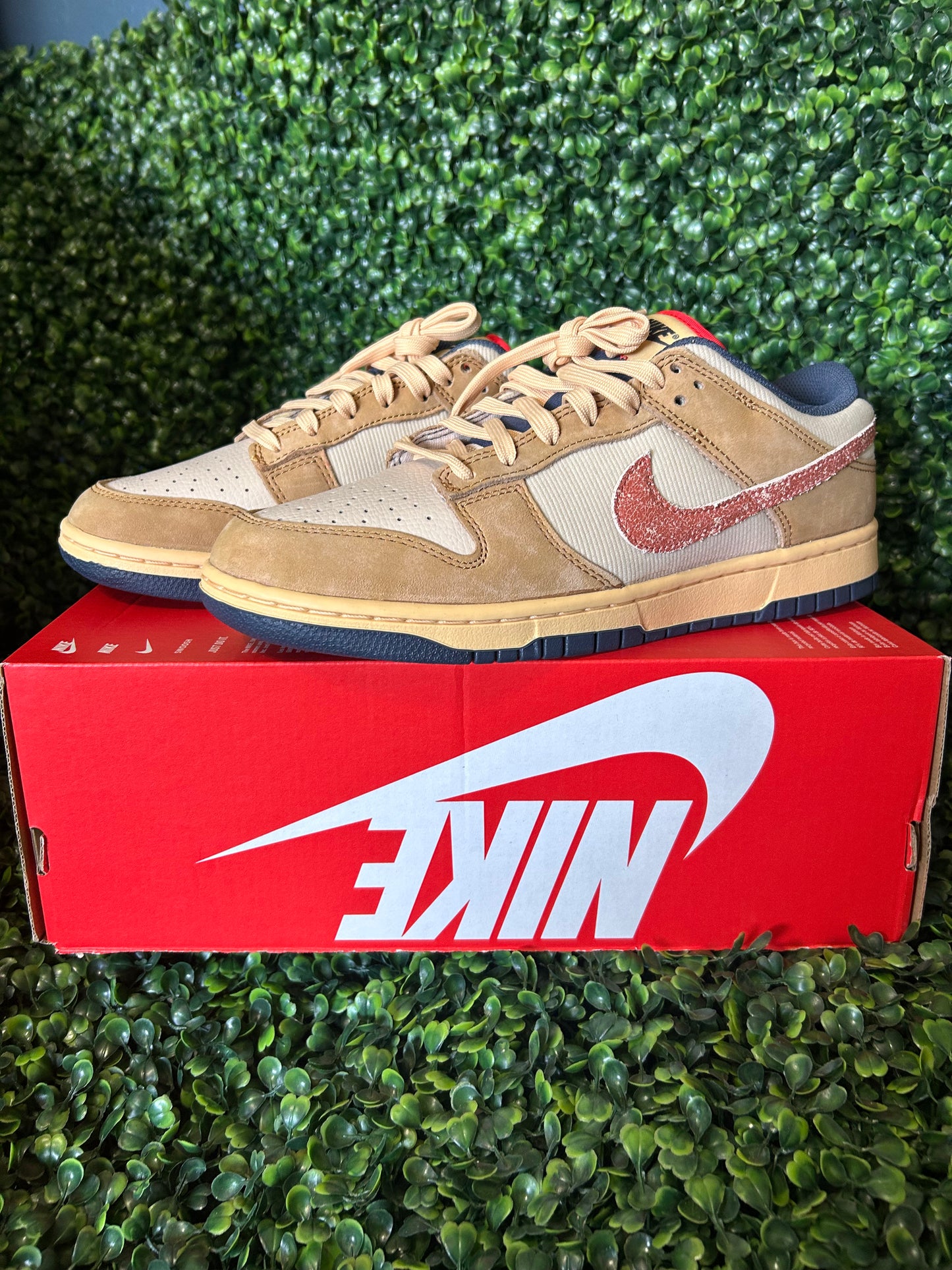 Nike dunk size 9.5