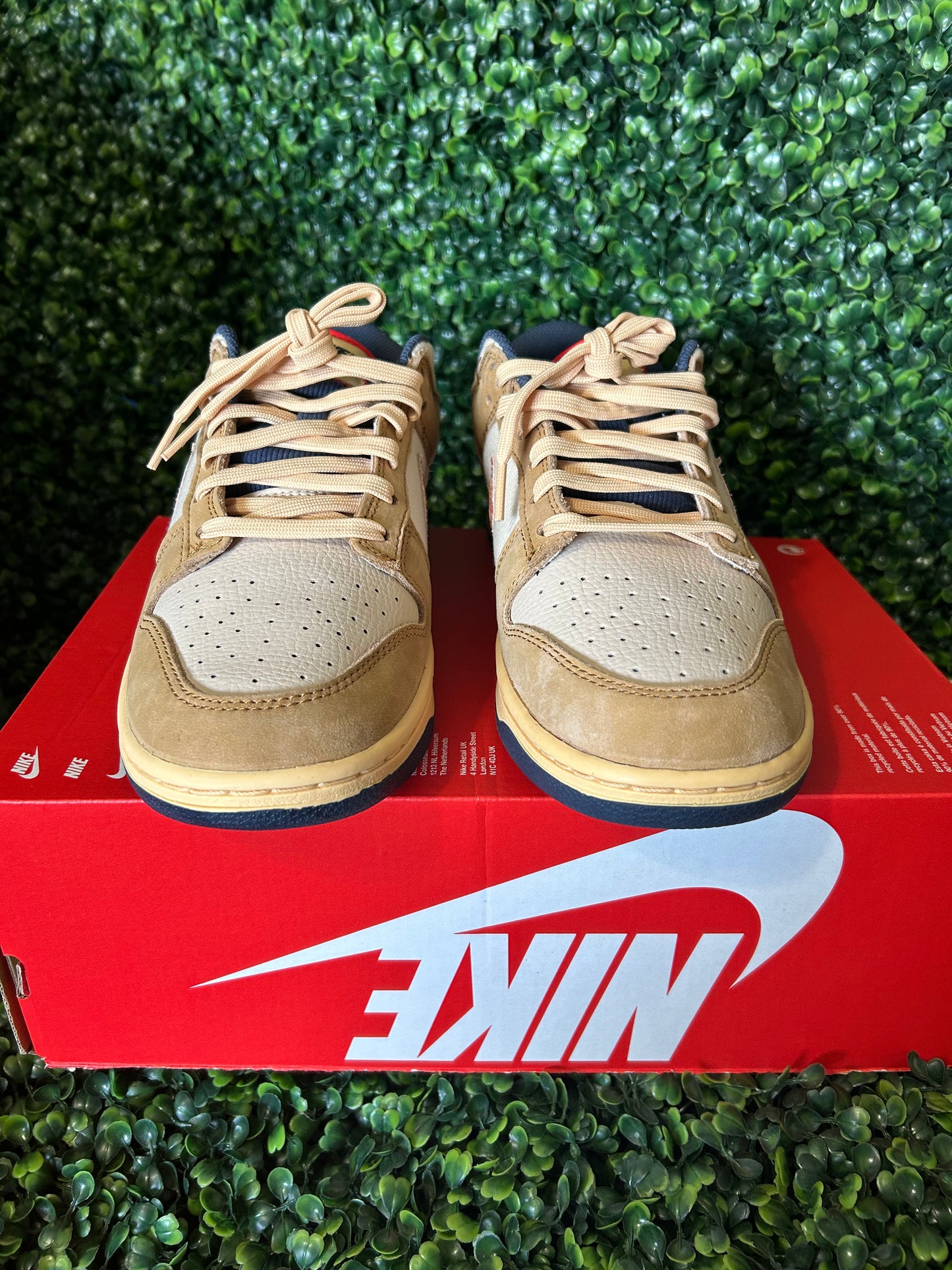 Nike dunk size 9.5