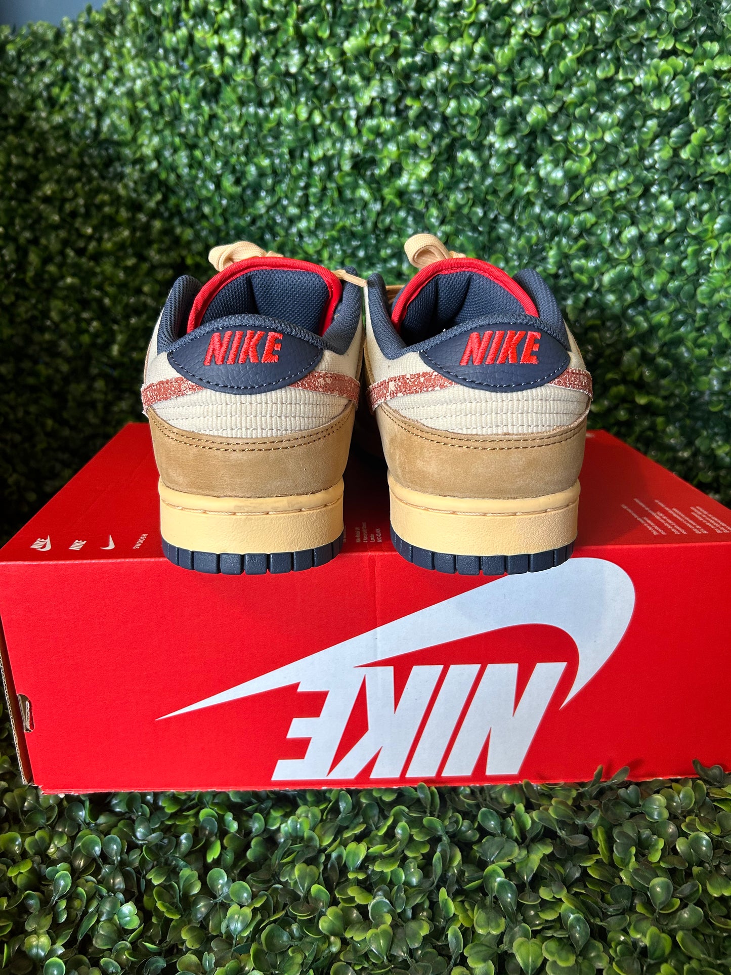 Nike dunk size 9.5