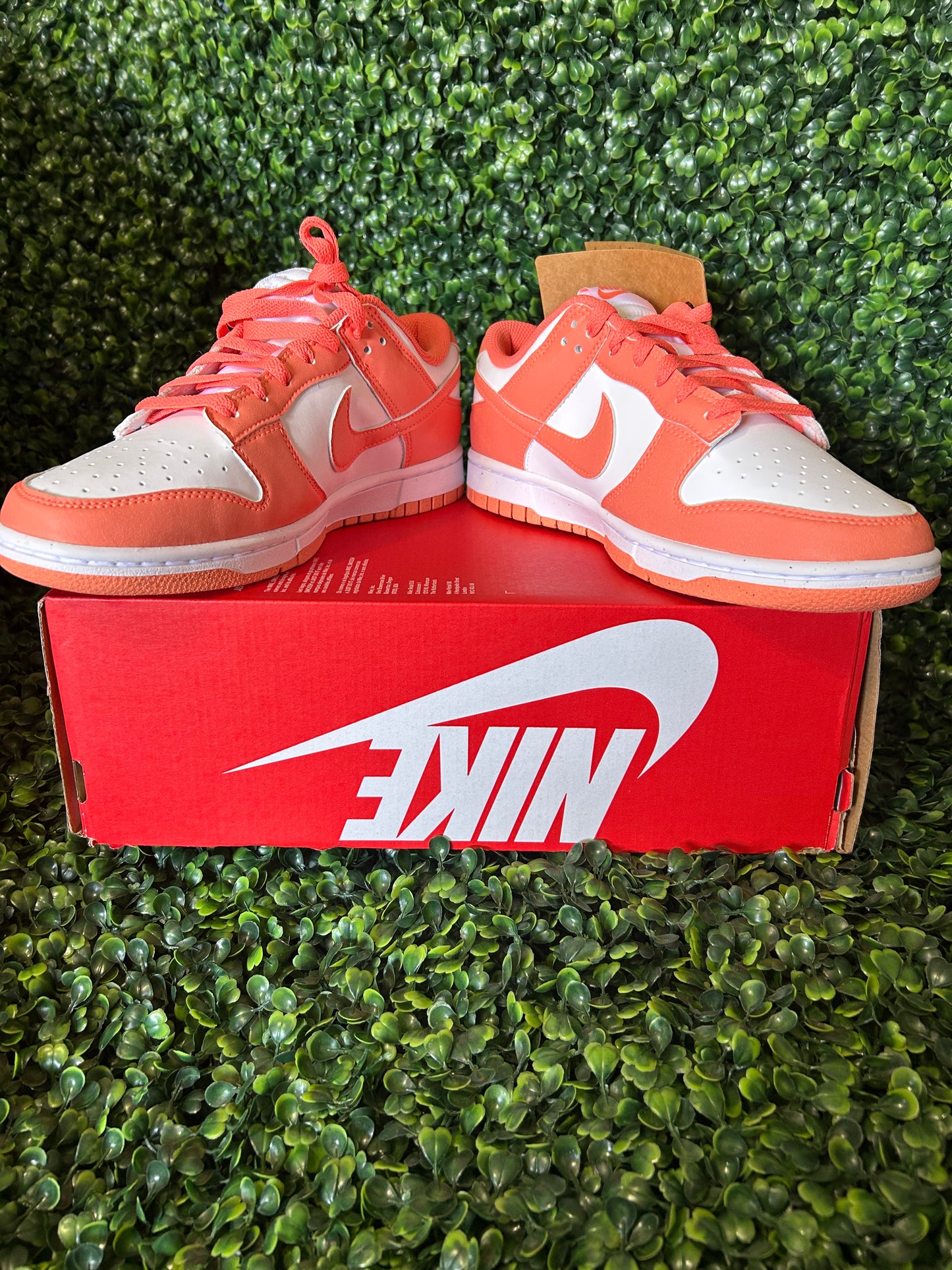 Nike dunk size 10
