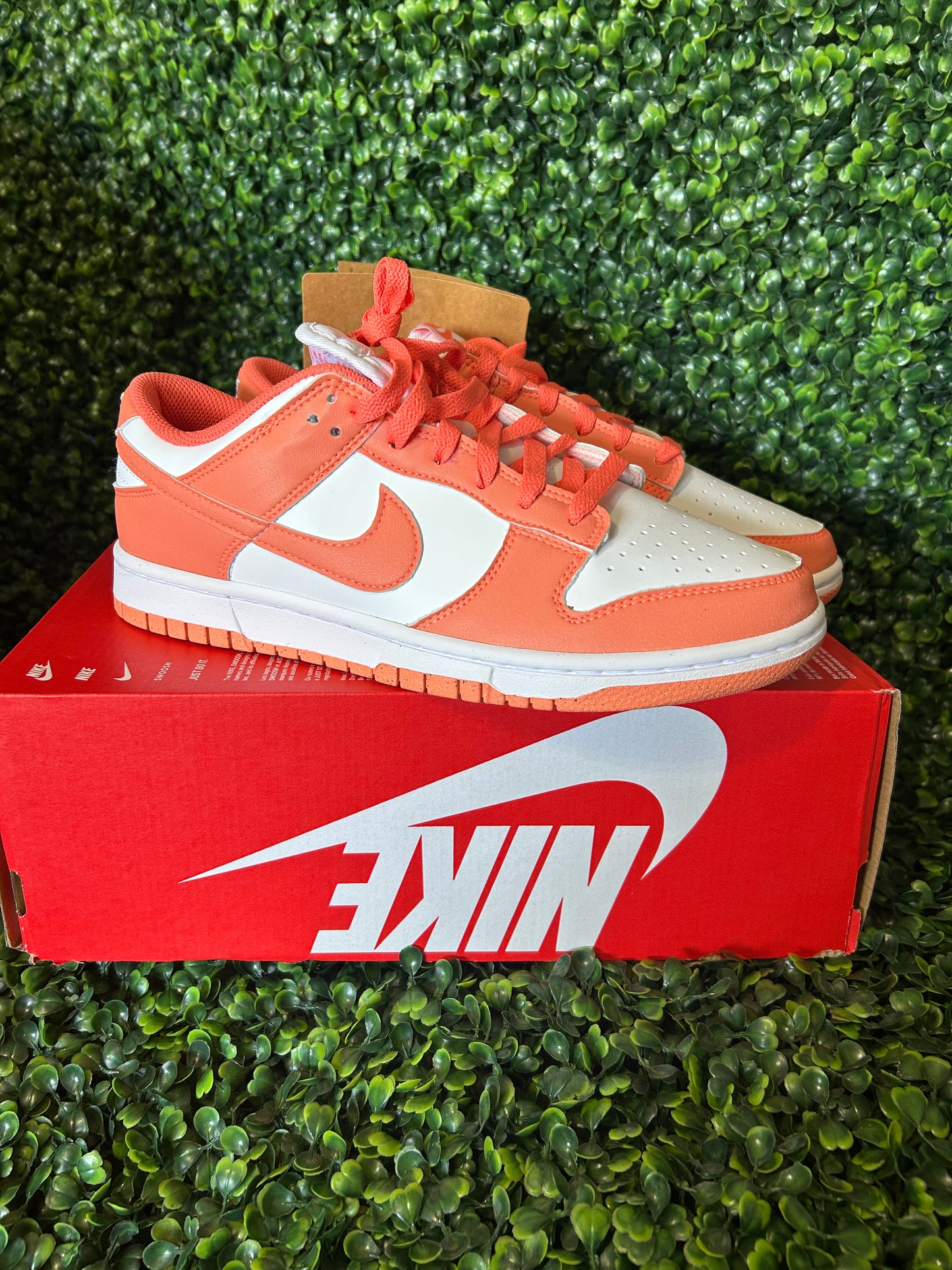 Nike dunk size 10