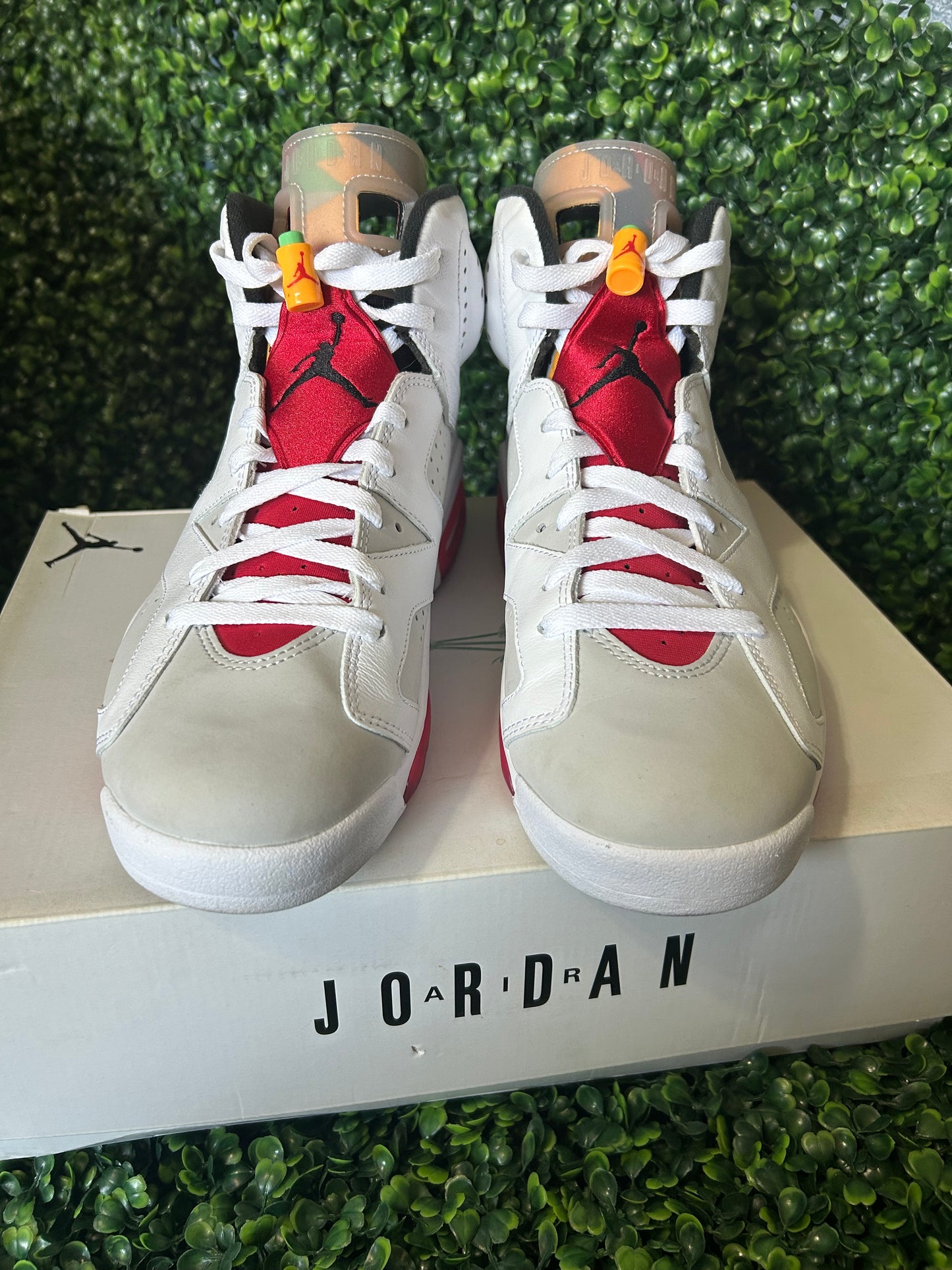 Air Jordan 6 size 10