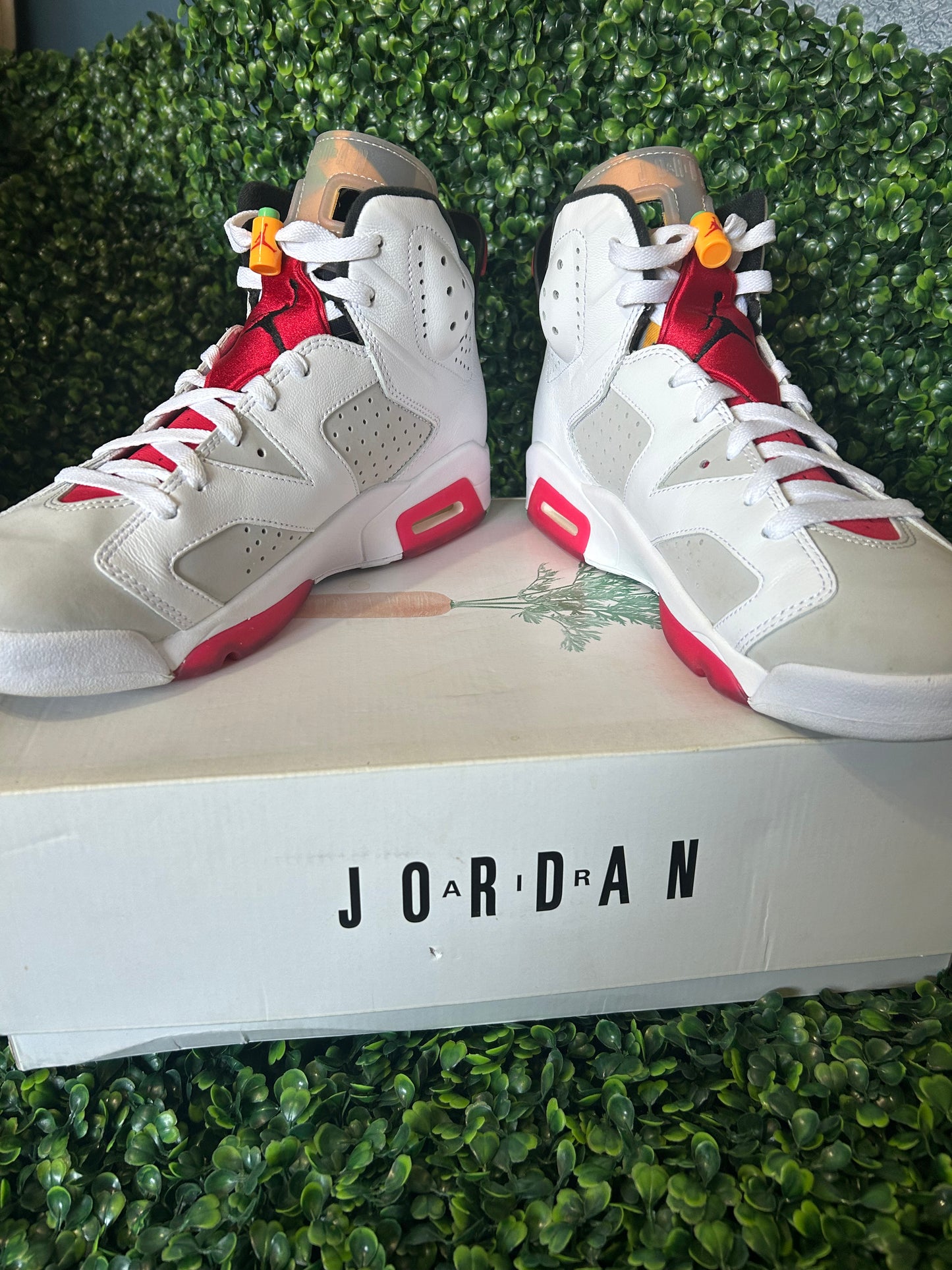 Air Jordan 6 size 10