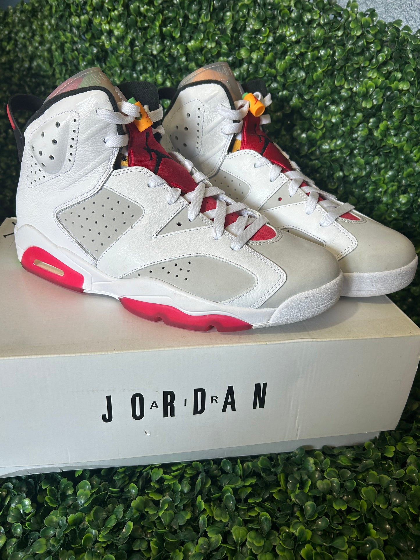 Air Jordan 6 size 10