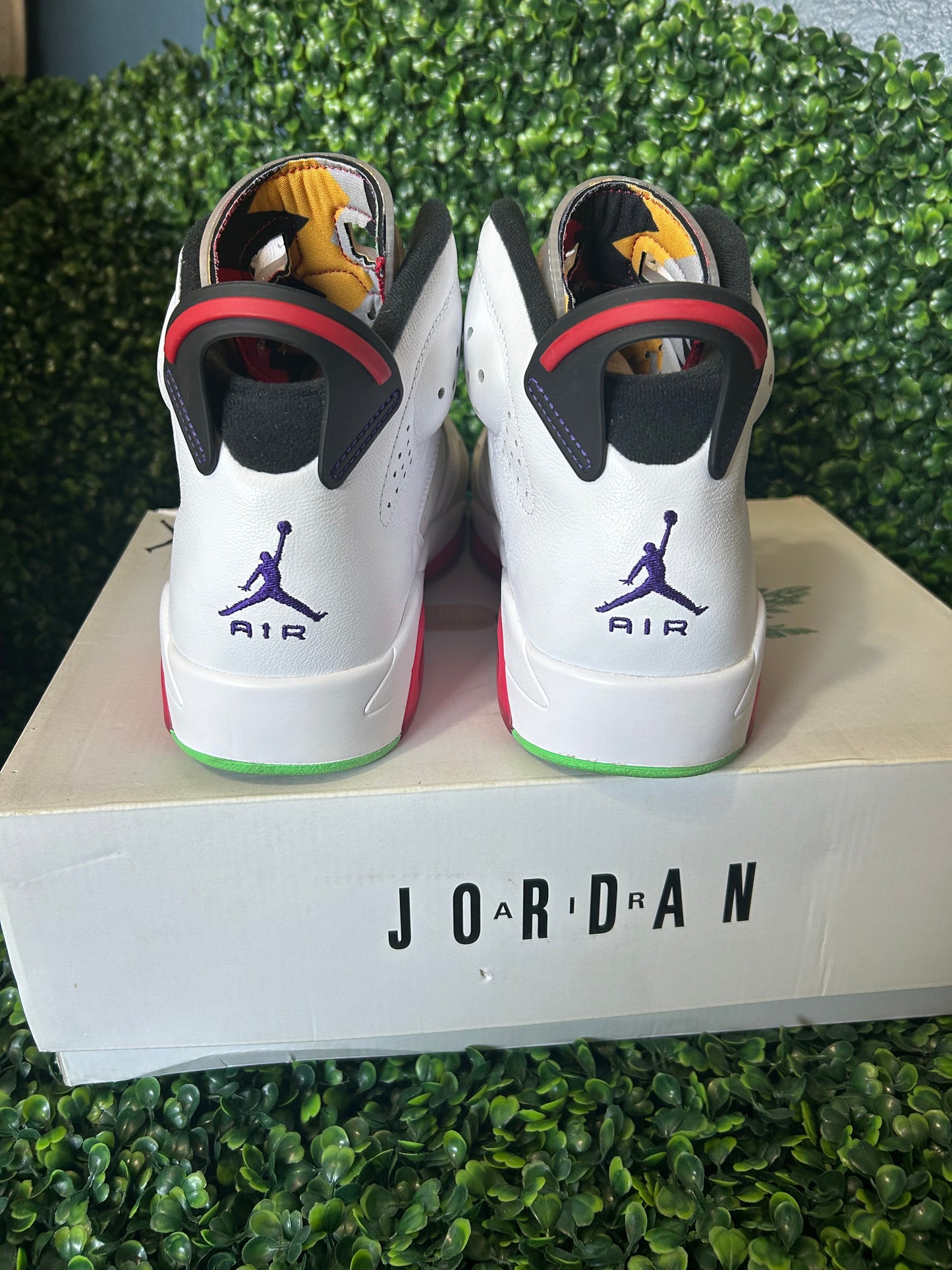 Air Jordan 6 size 10