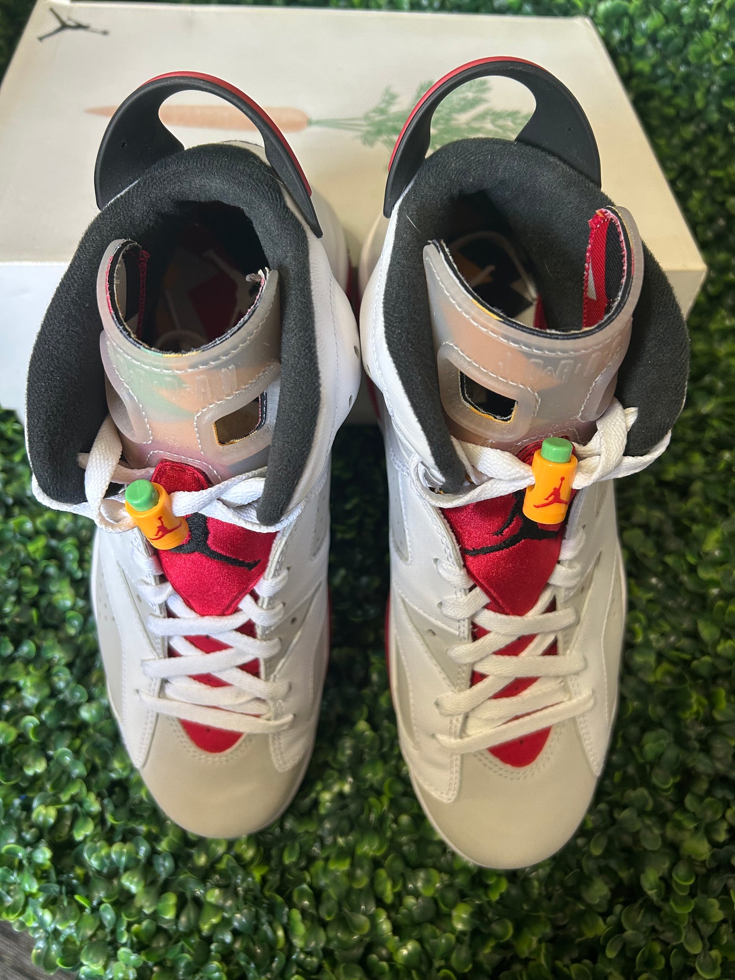 Air Jordan 6 size 10