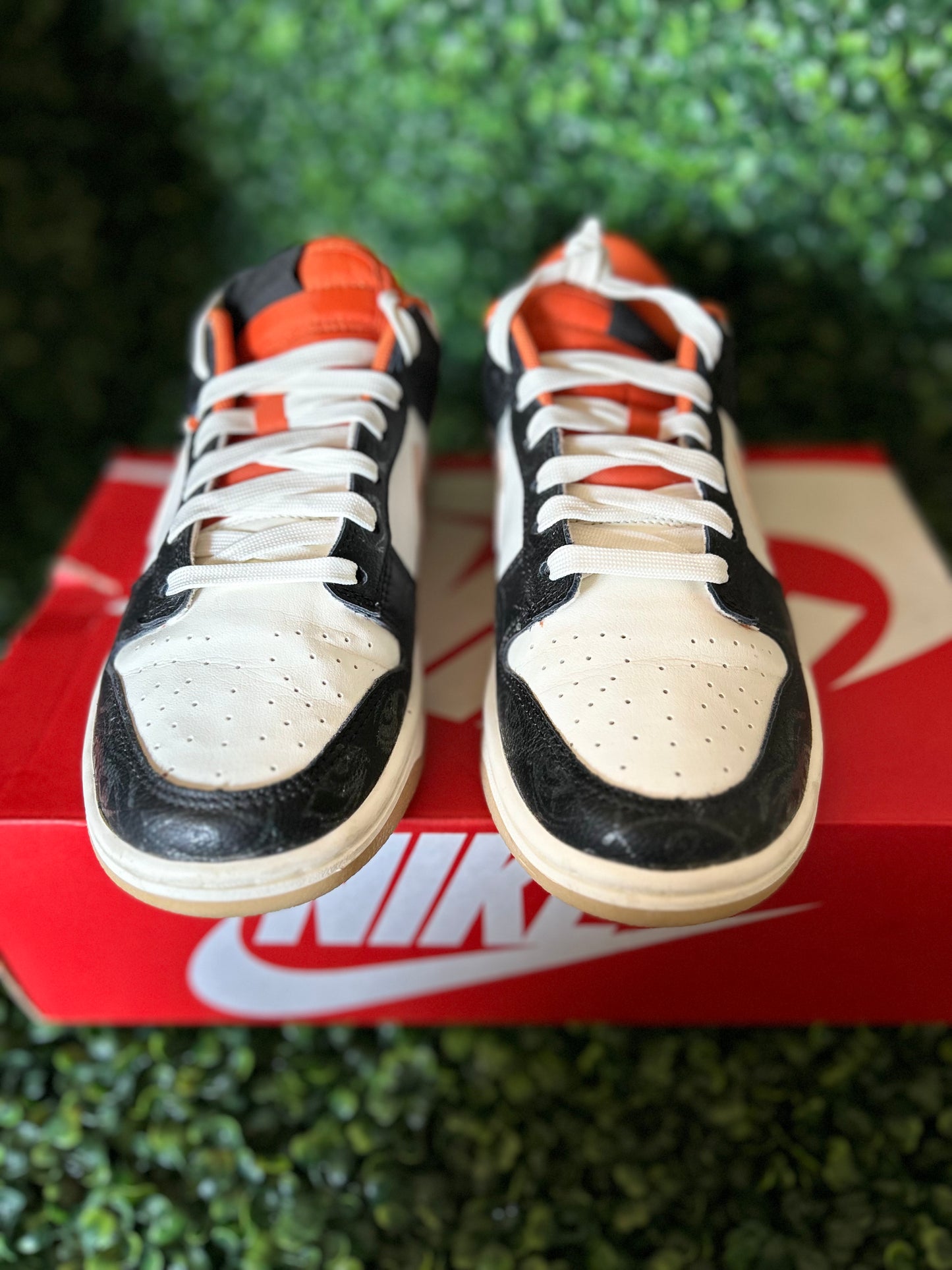 Nike dunk size 6.5