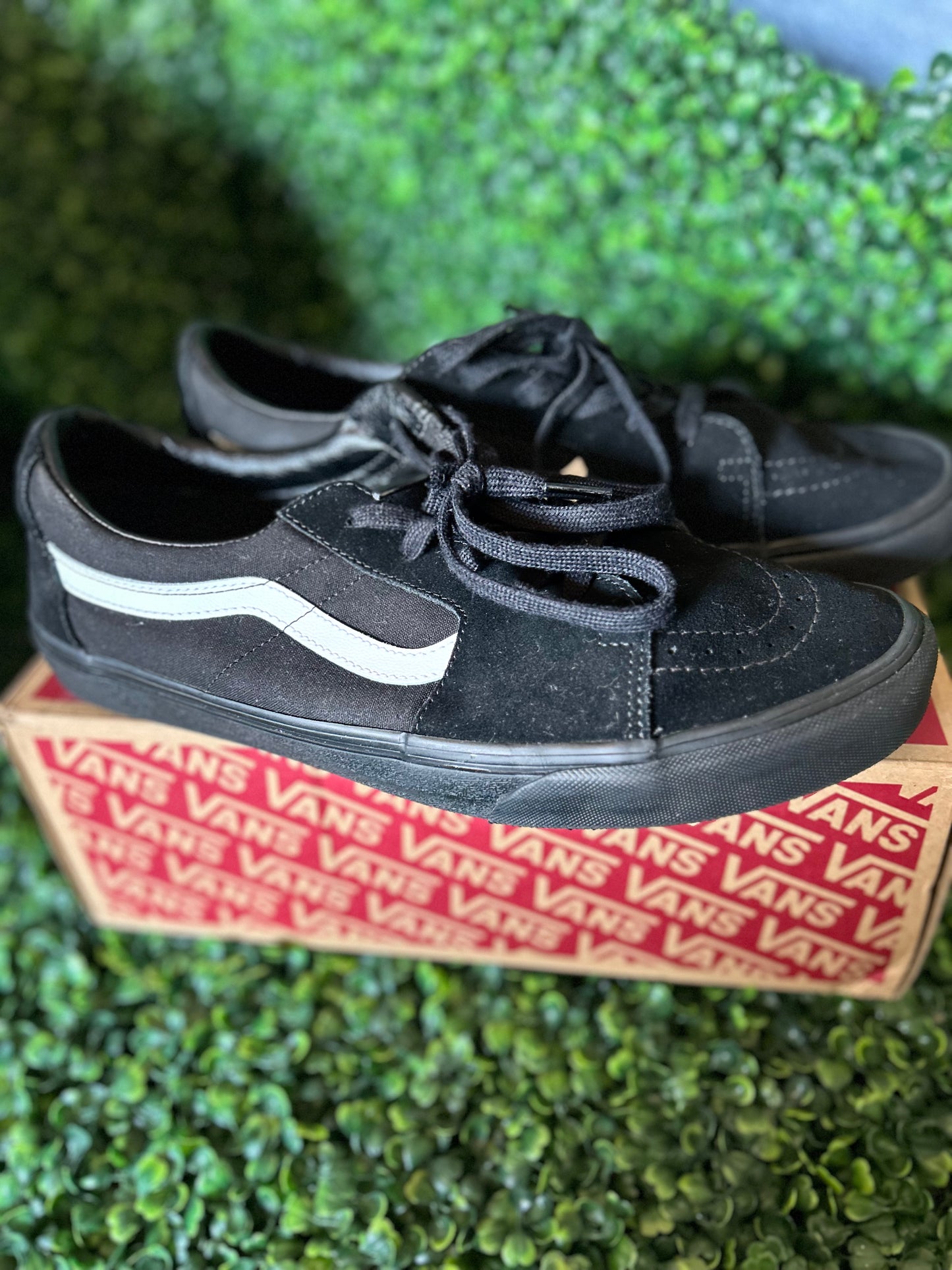 Vans sk-8 low size 12