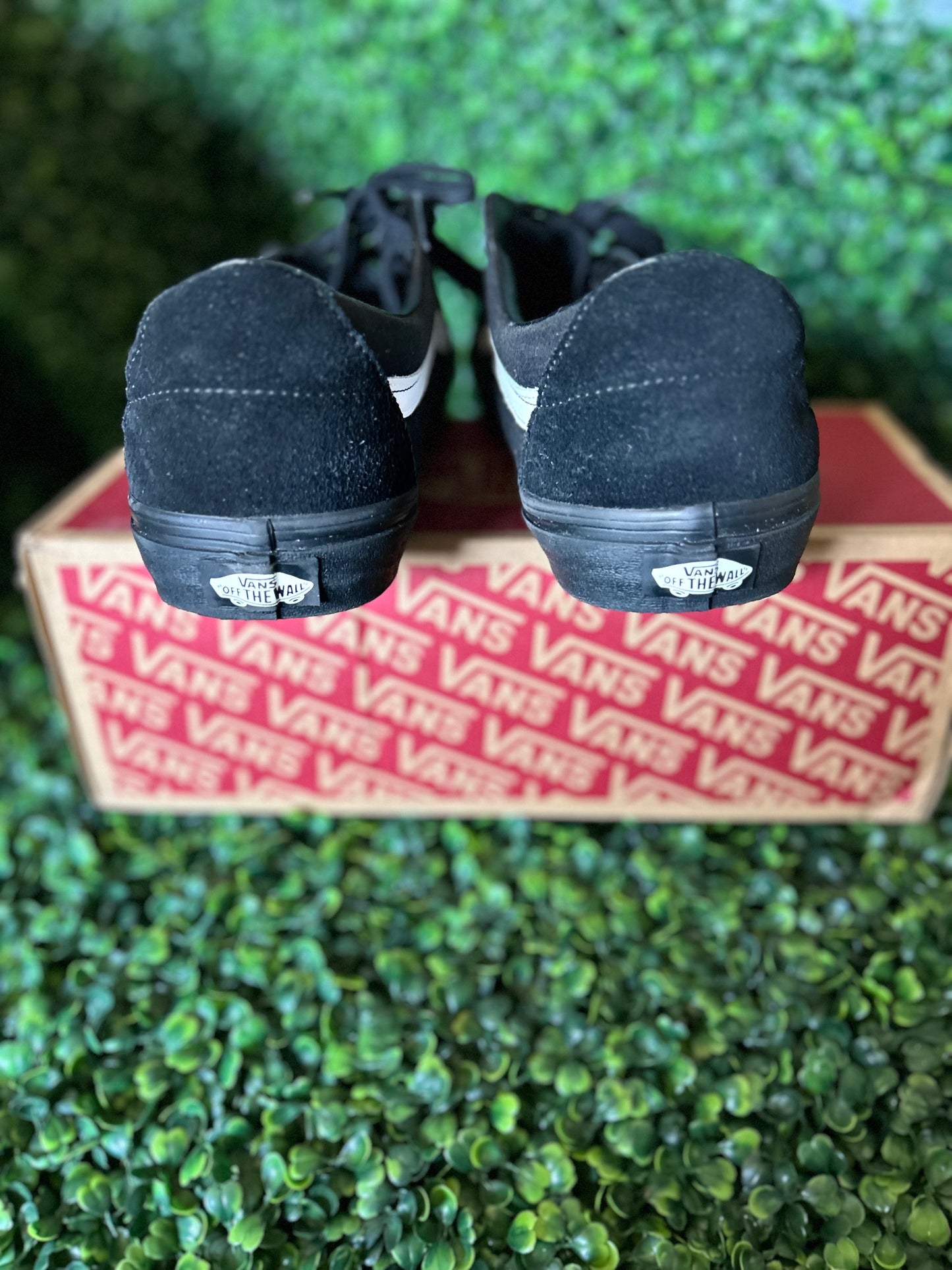 Vans sk-8 low size 12