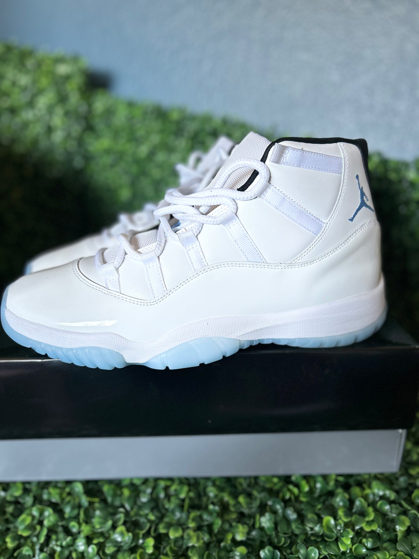 Air Jordan 11 size 13