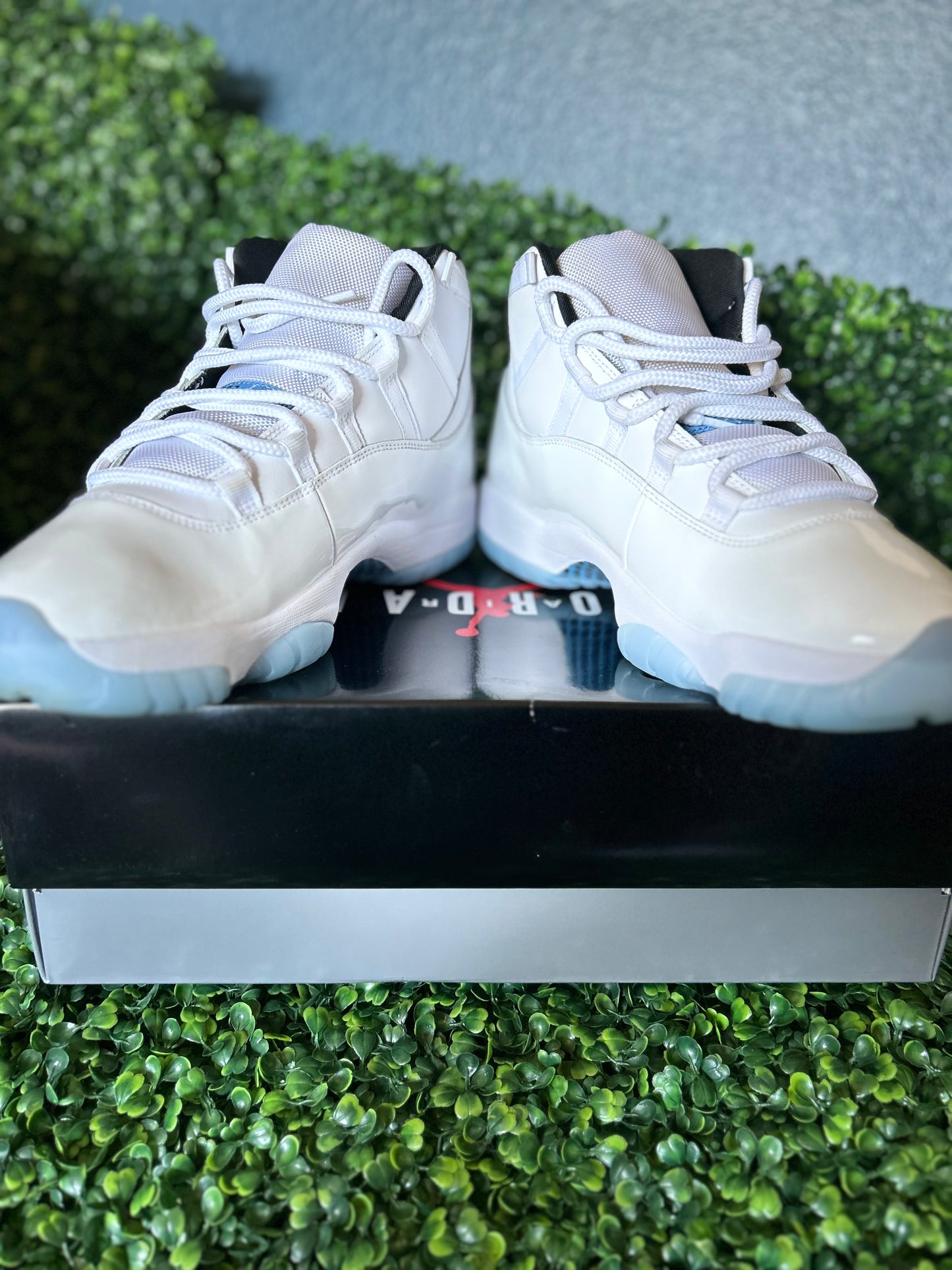 Air Jordan 11 size 13