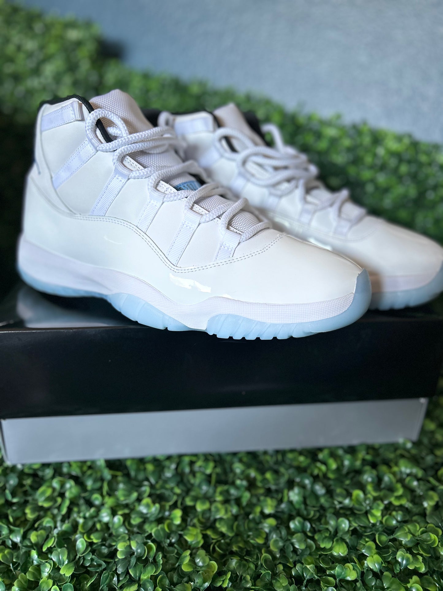 Air Jordan 11 size 13