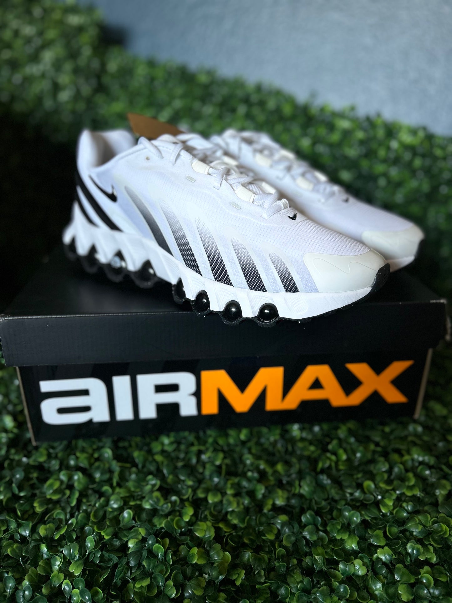Nike air max DN8 size 10.5m