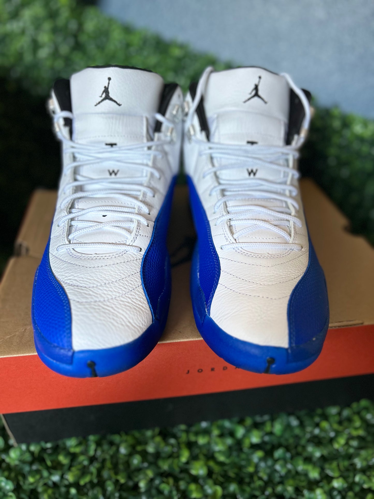 Jordan 12 size 13m