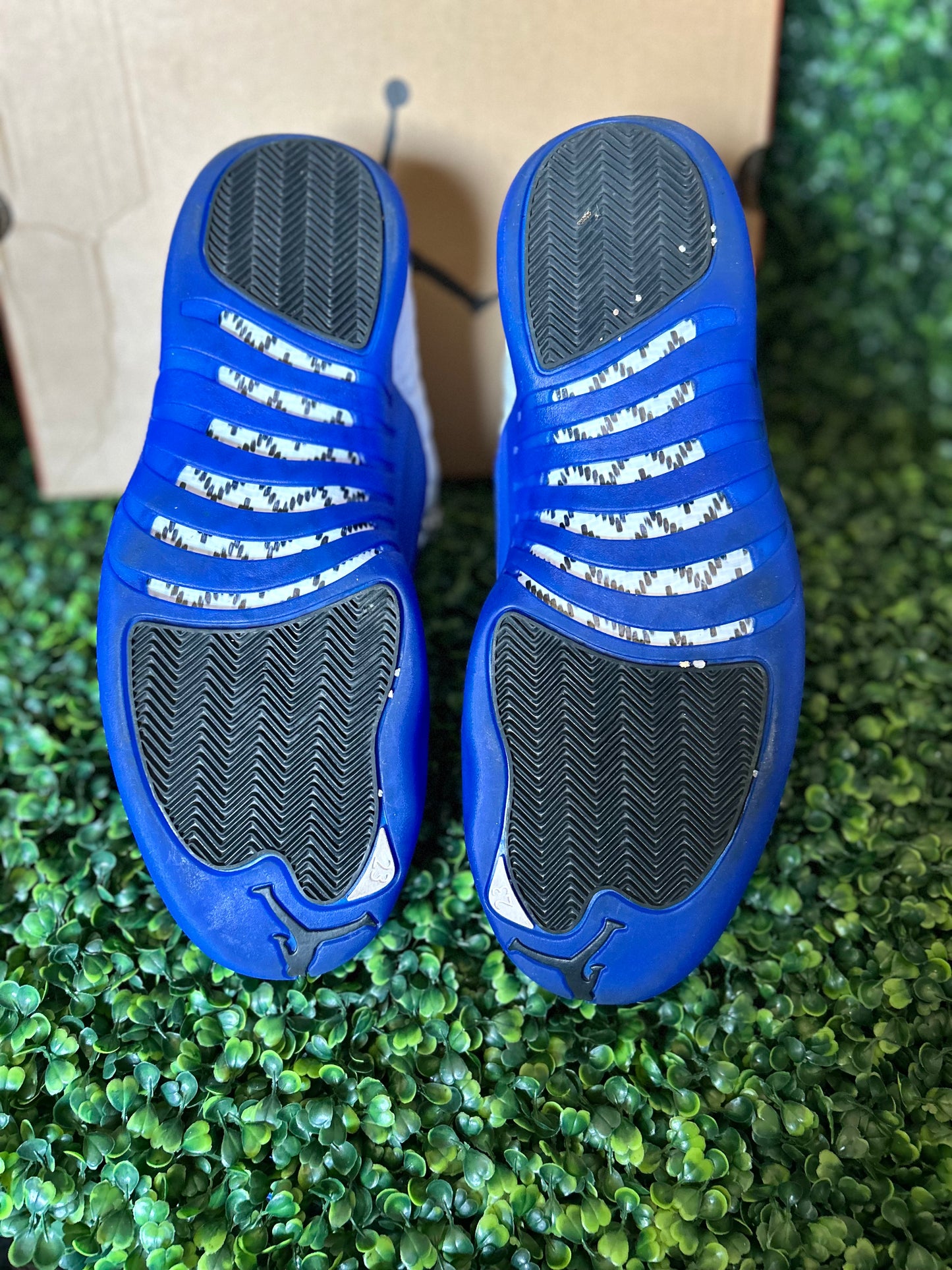 Jordan 12 size 13m