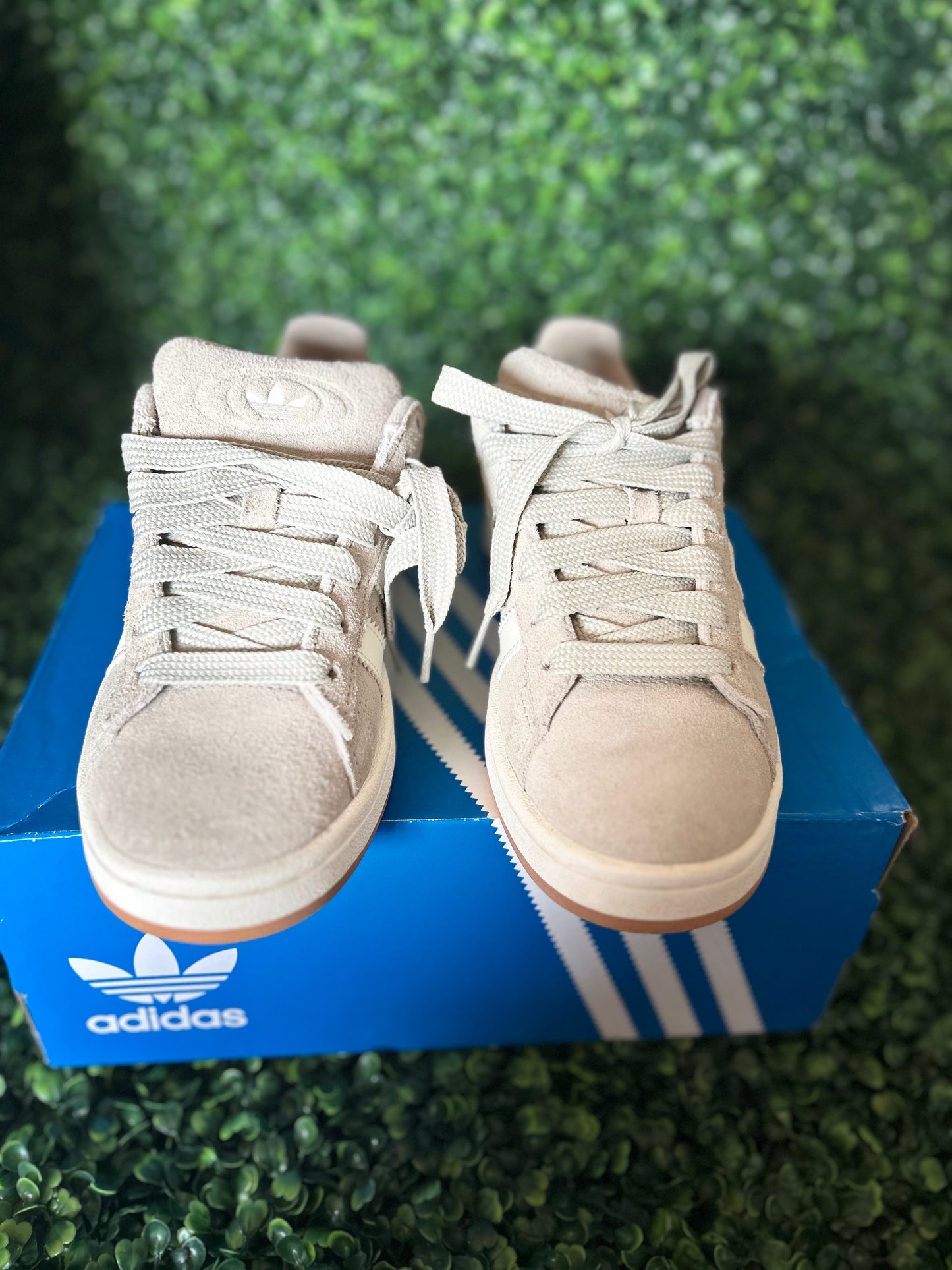 Adidas campus size 6