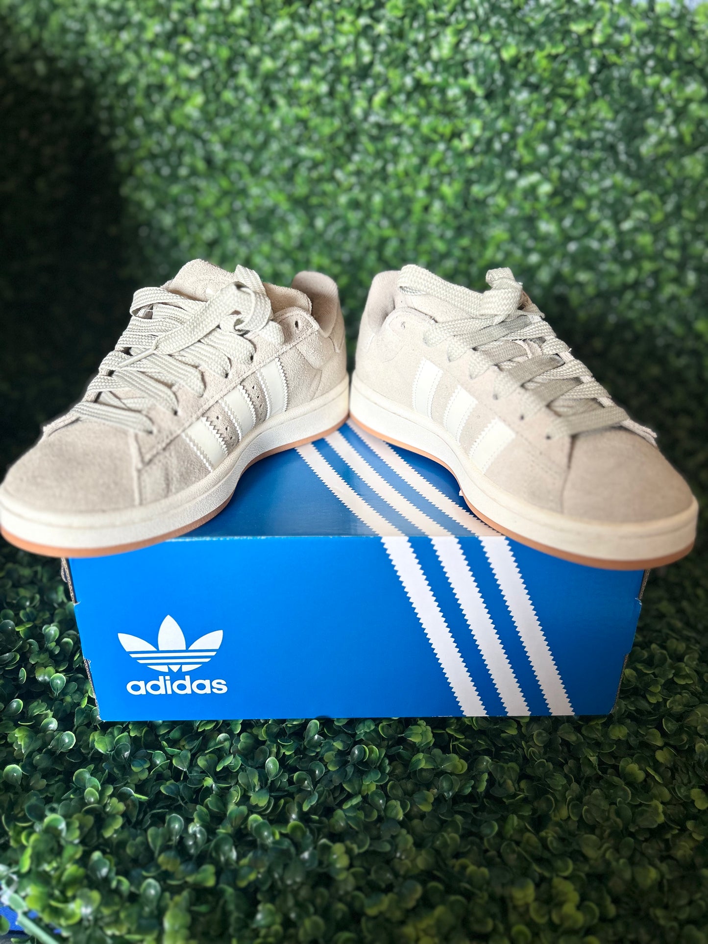 Adidas campus size 6