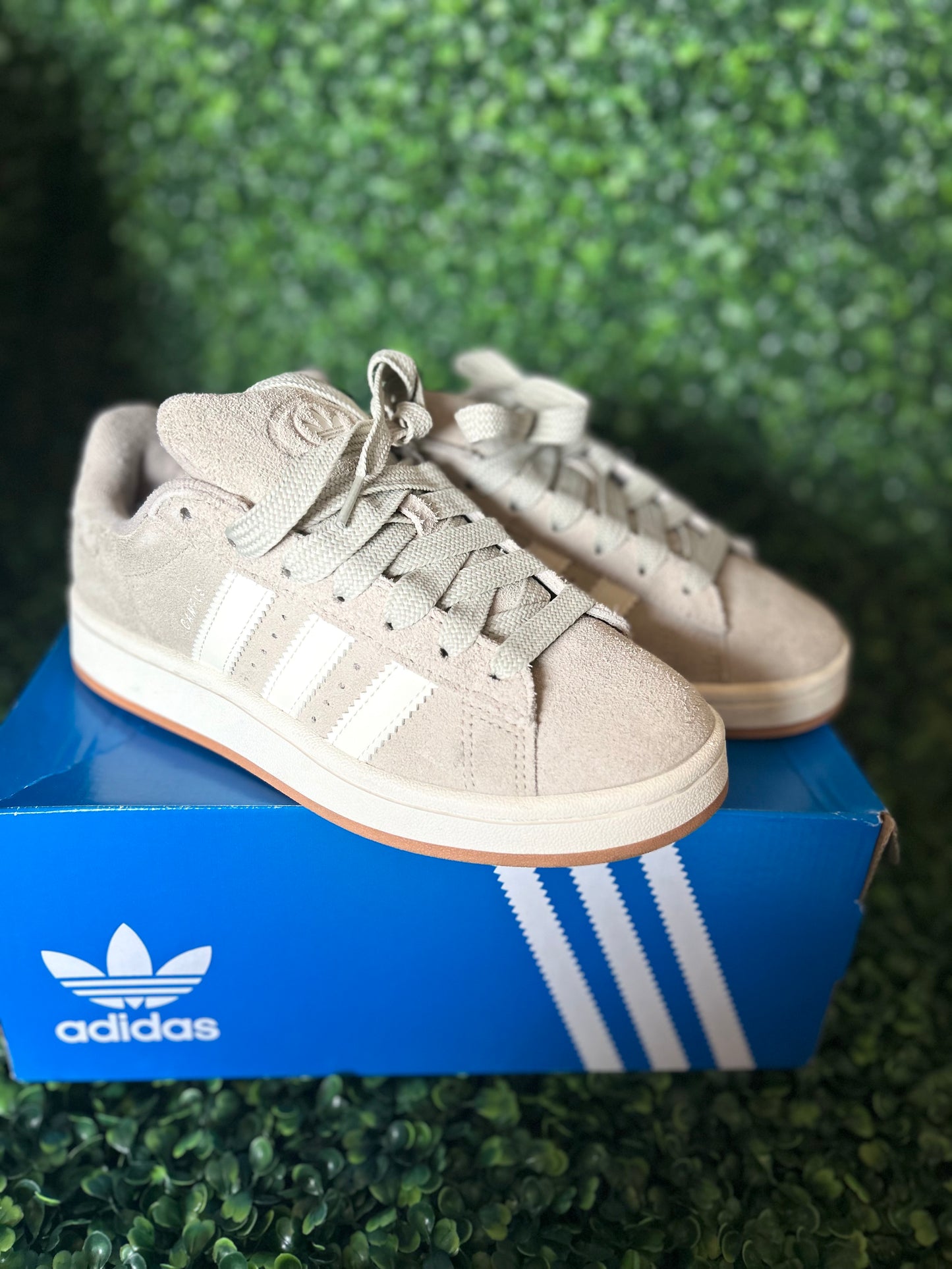 Adidas campus size 6