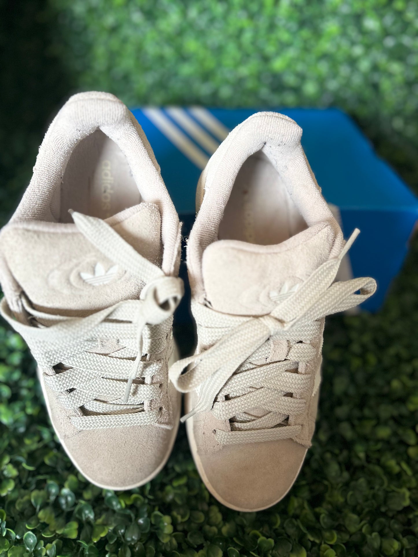 Adidas campus size 6