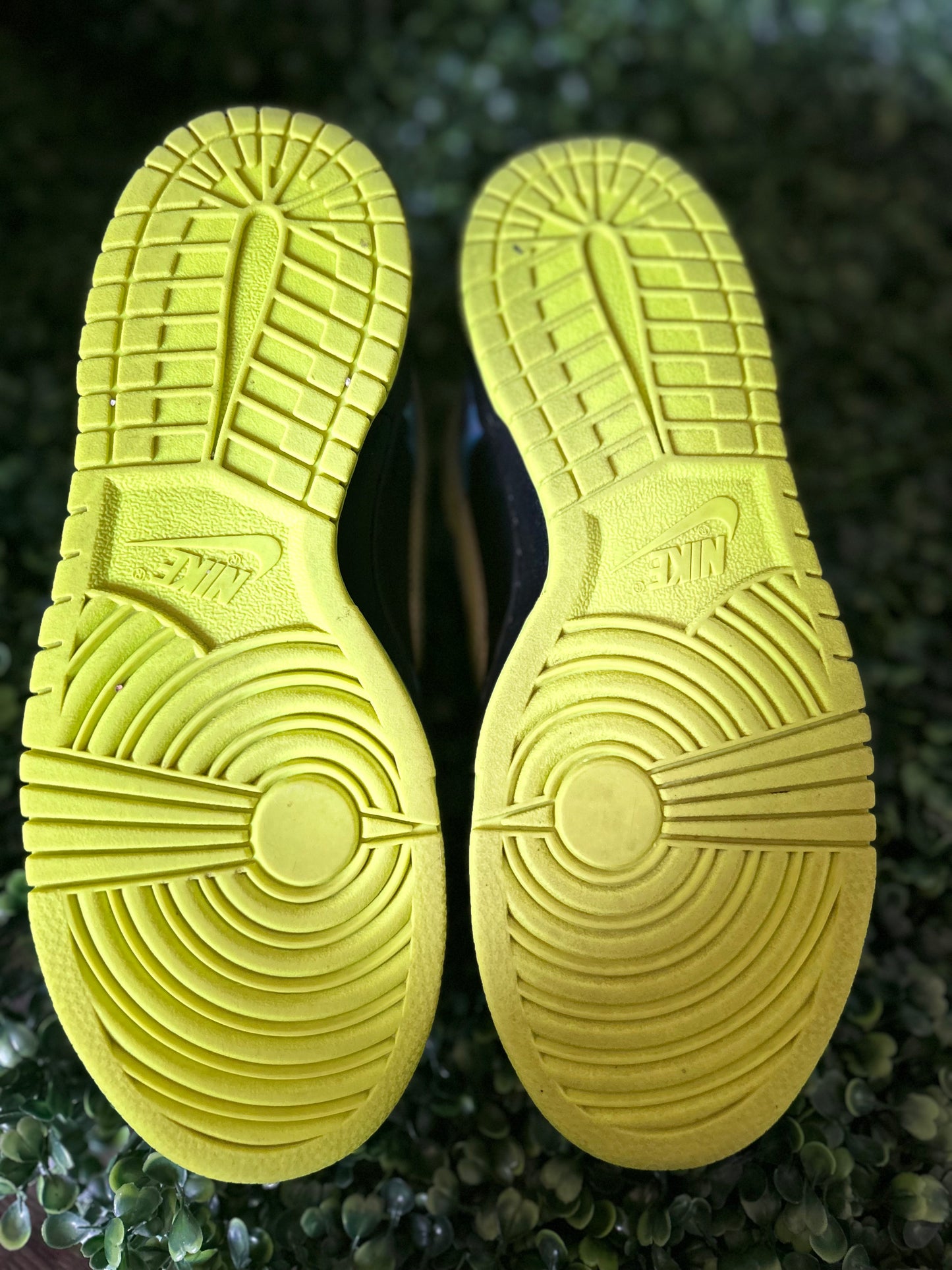 Nike dunk low size 6.5y