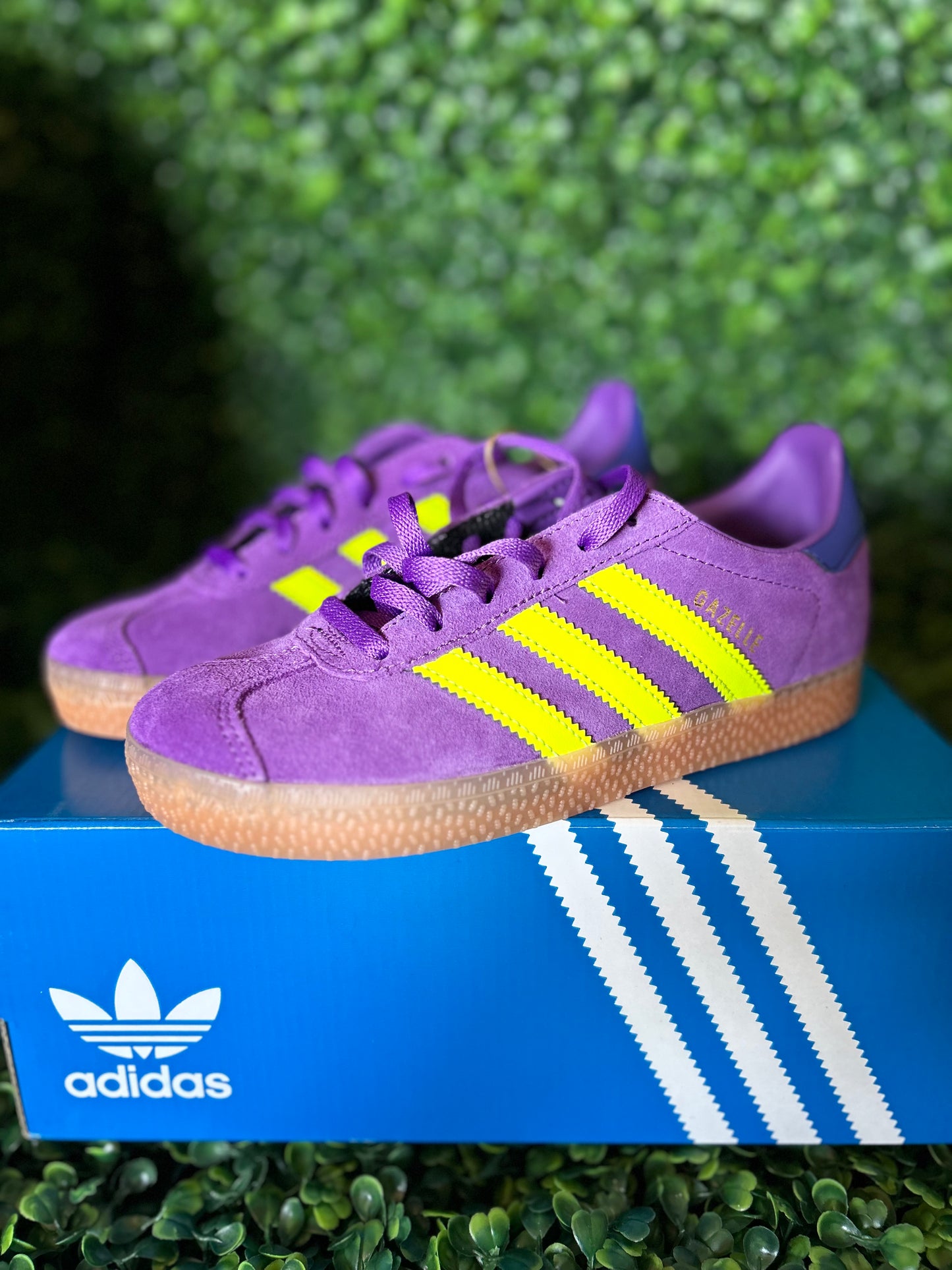 Adidas gazelle size 2y