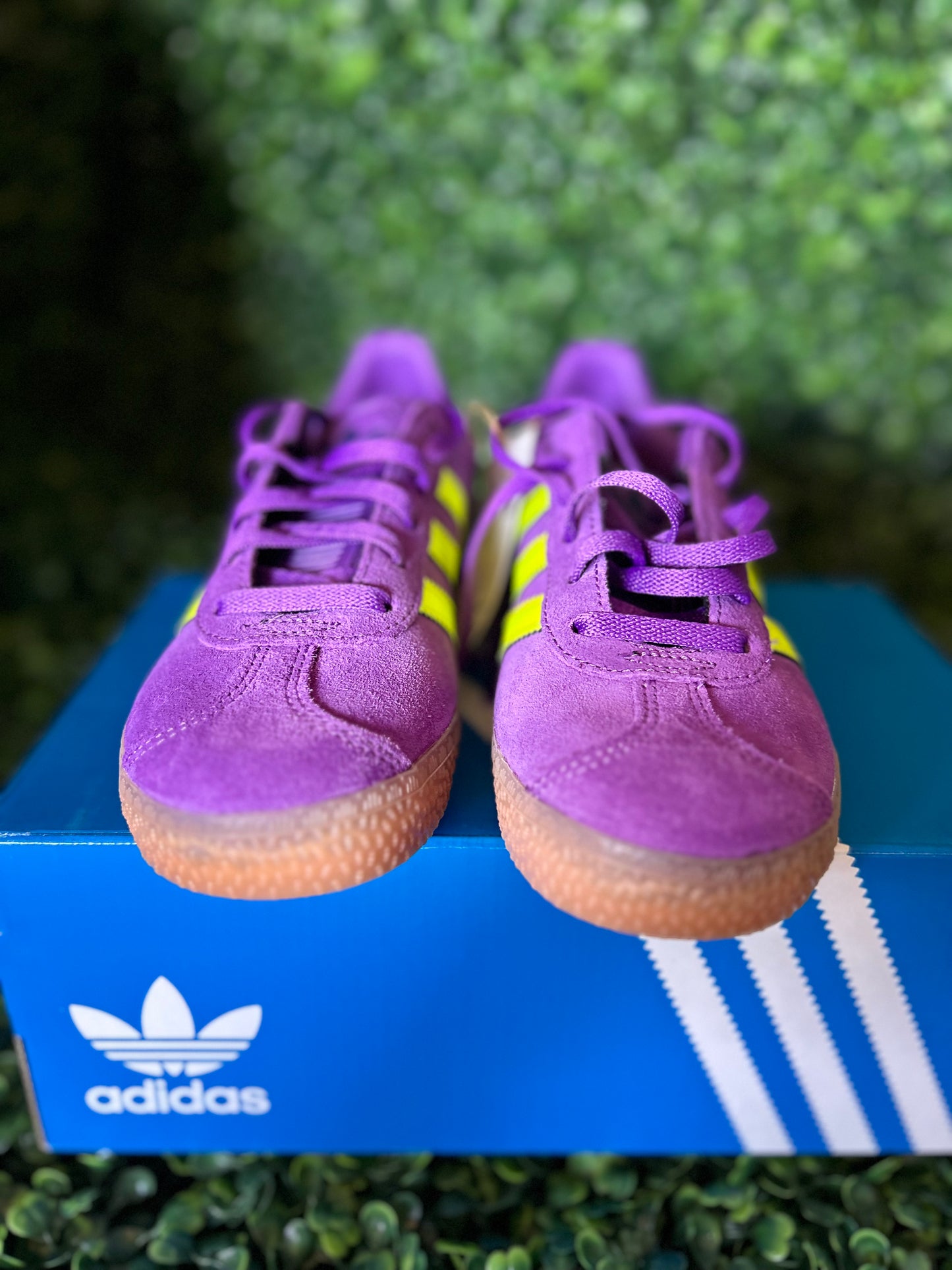 Adidas gazelle size 2y