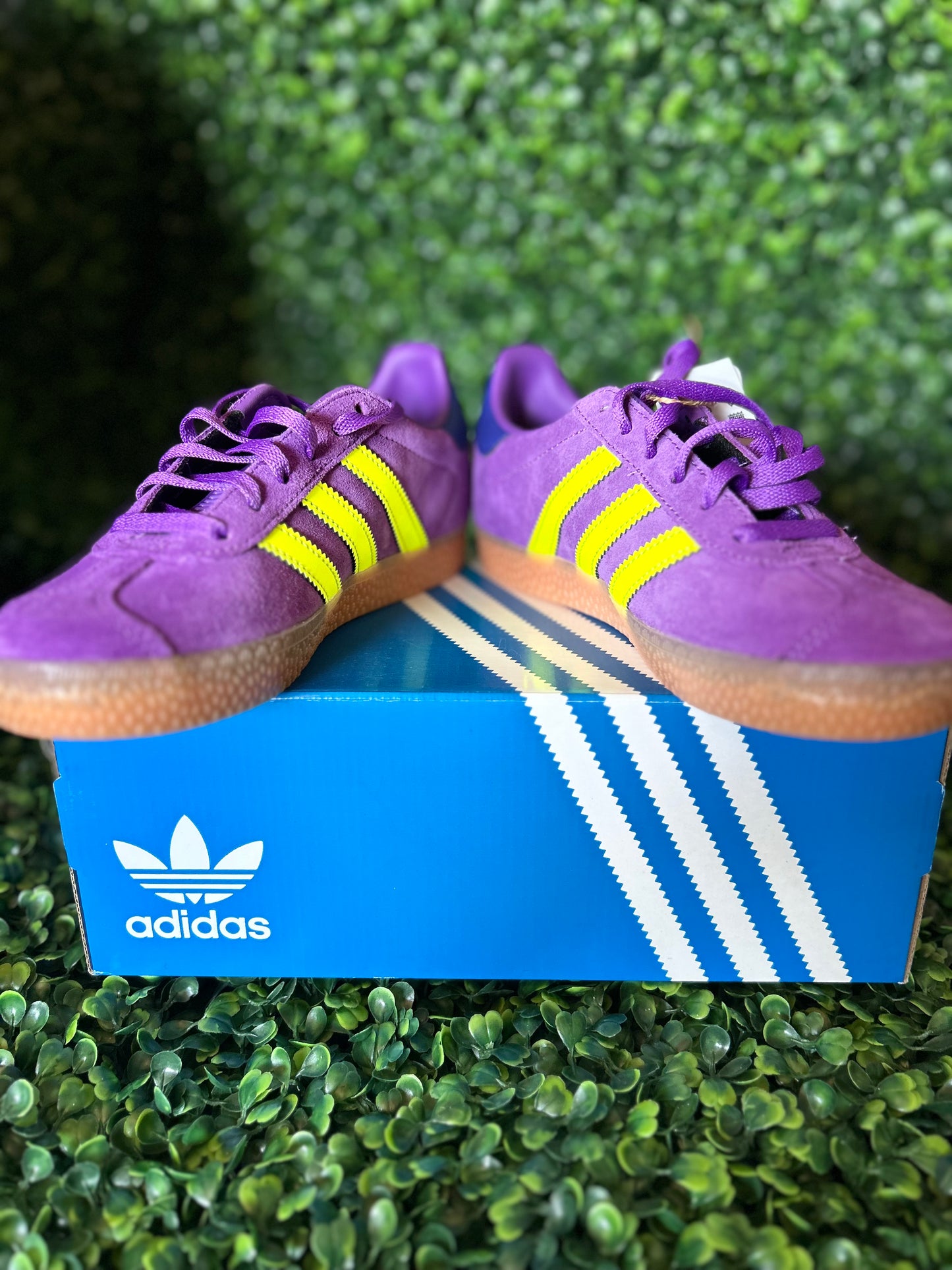 Adidas gazelle size 2y
