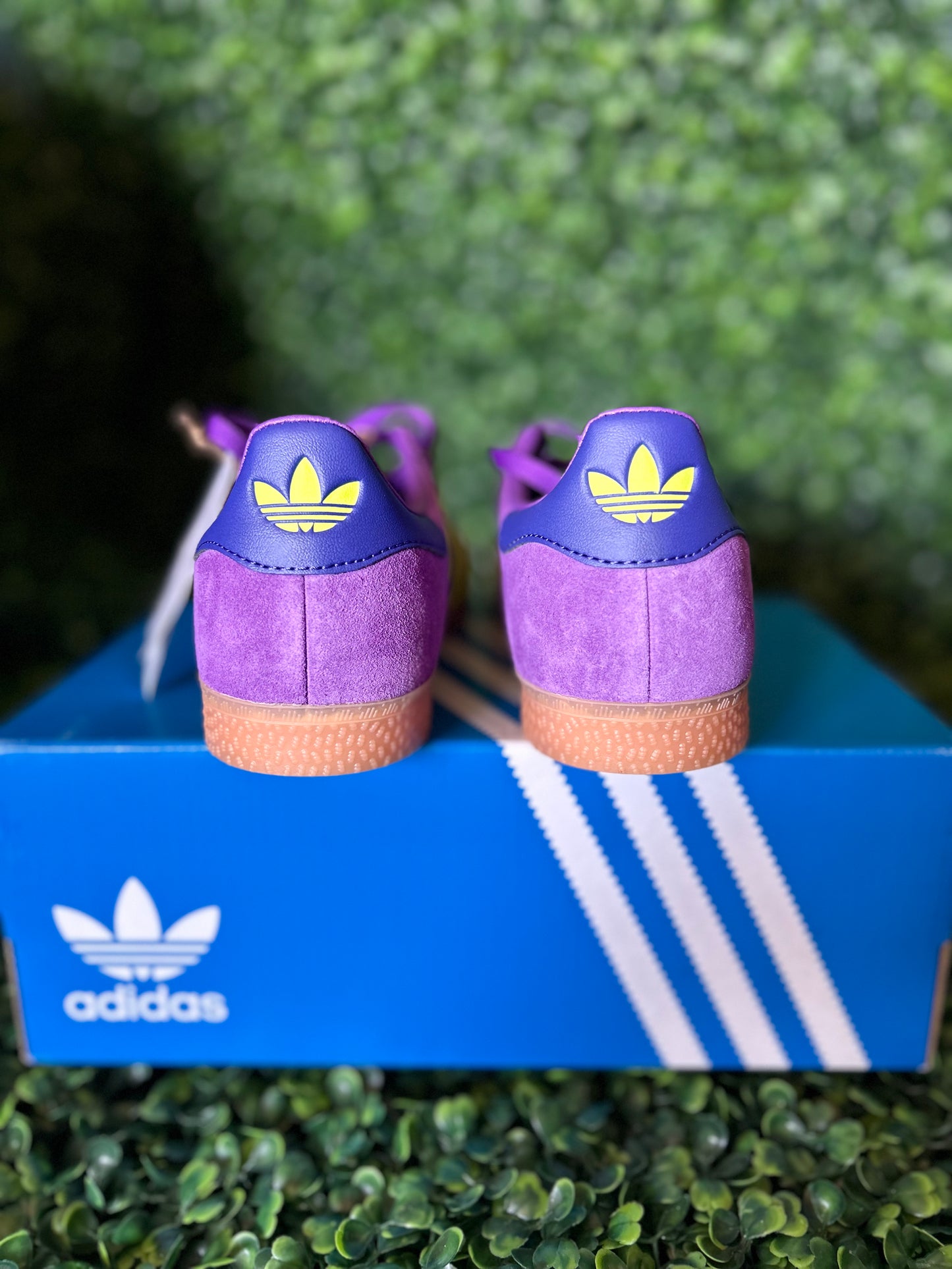 Adidas gazelle size 2y