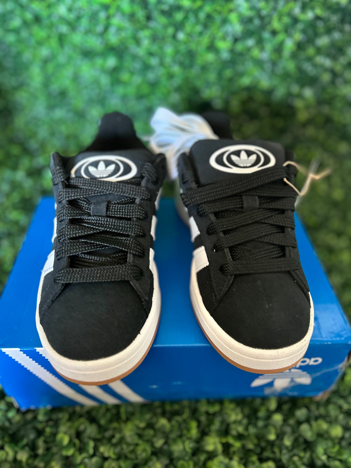 Adidas campus size 3.5