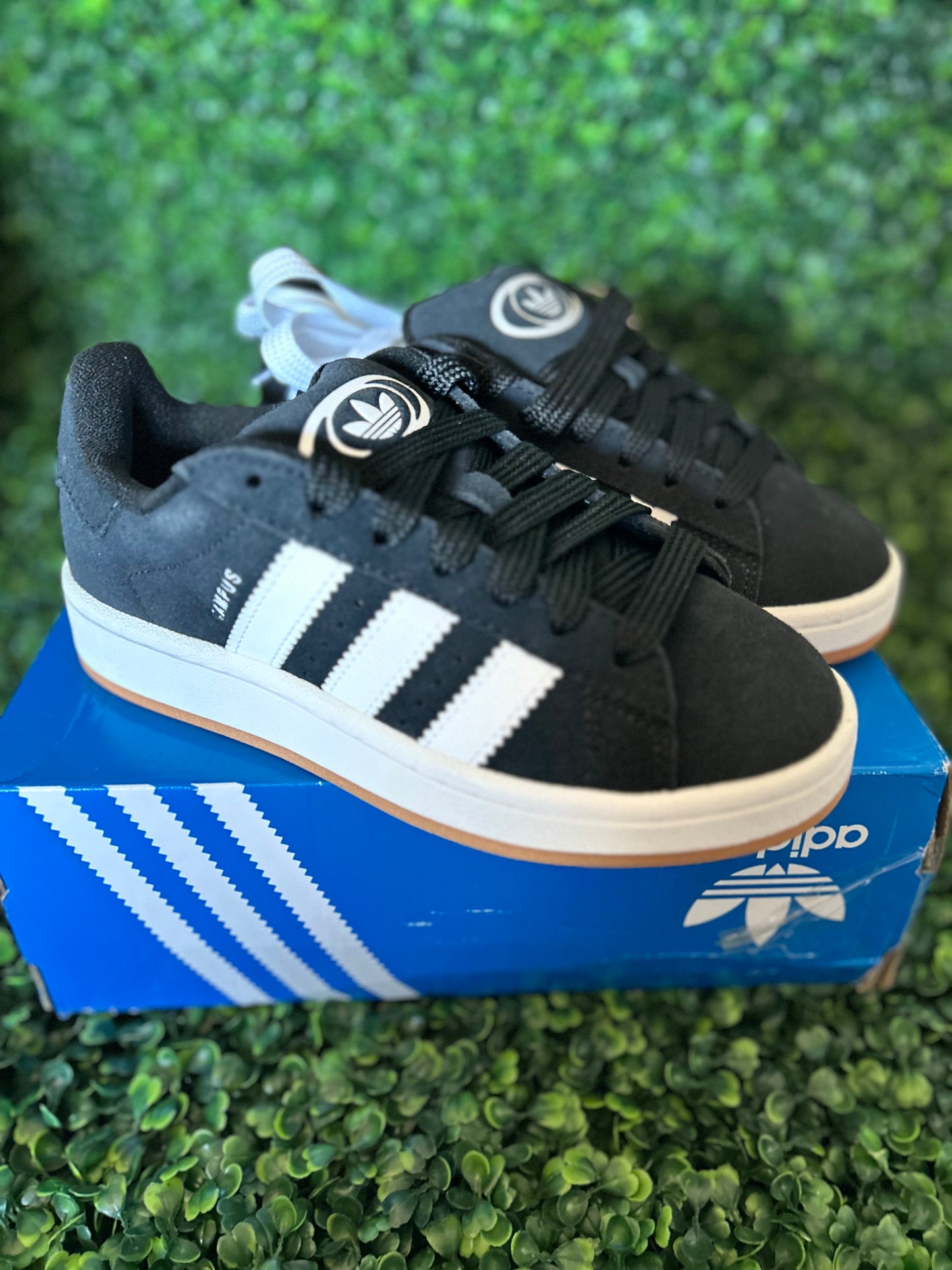 Adidas campus size 3.5