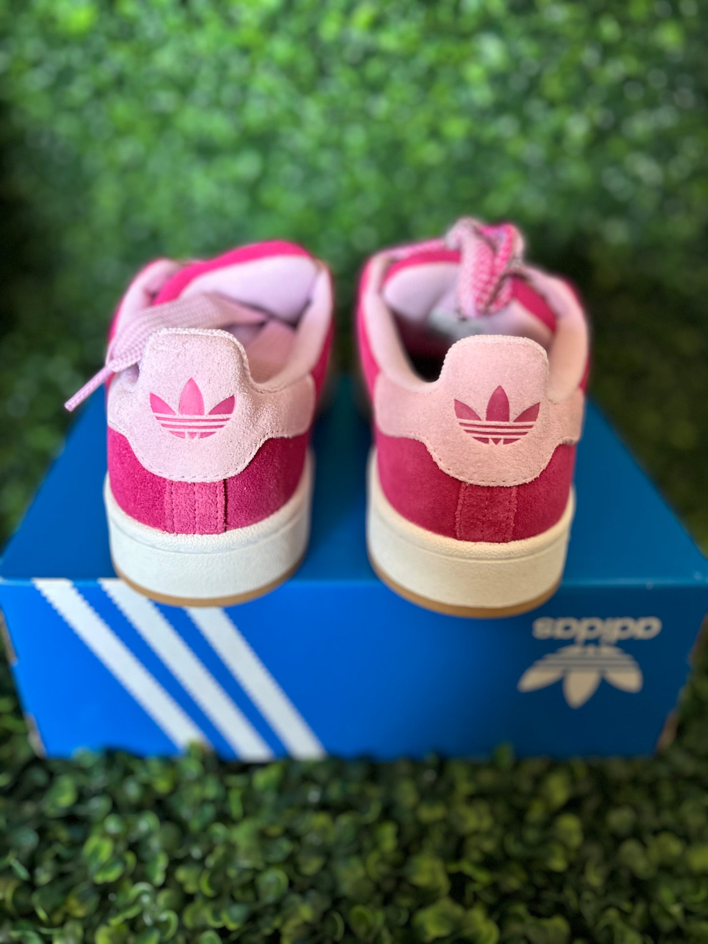 Adidas campus size 5.5 wmns