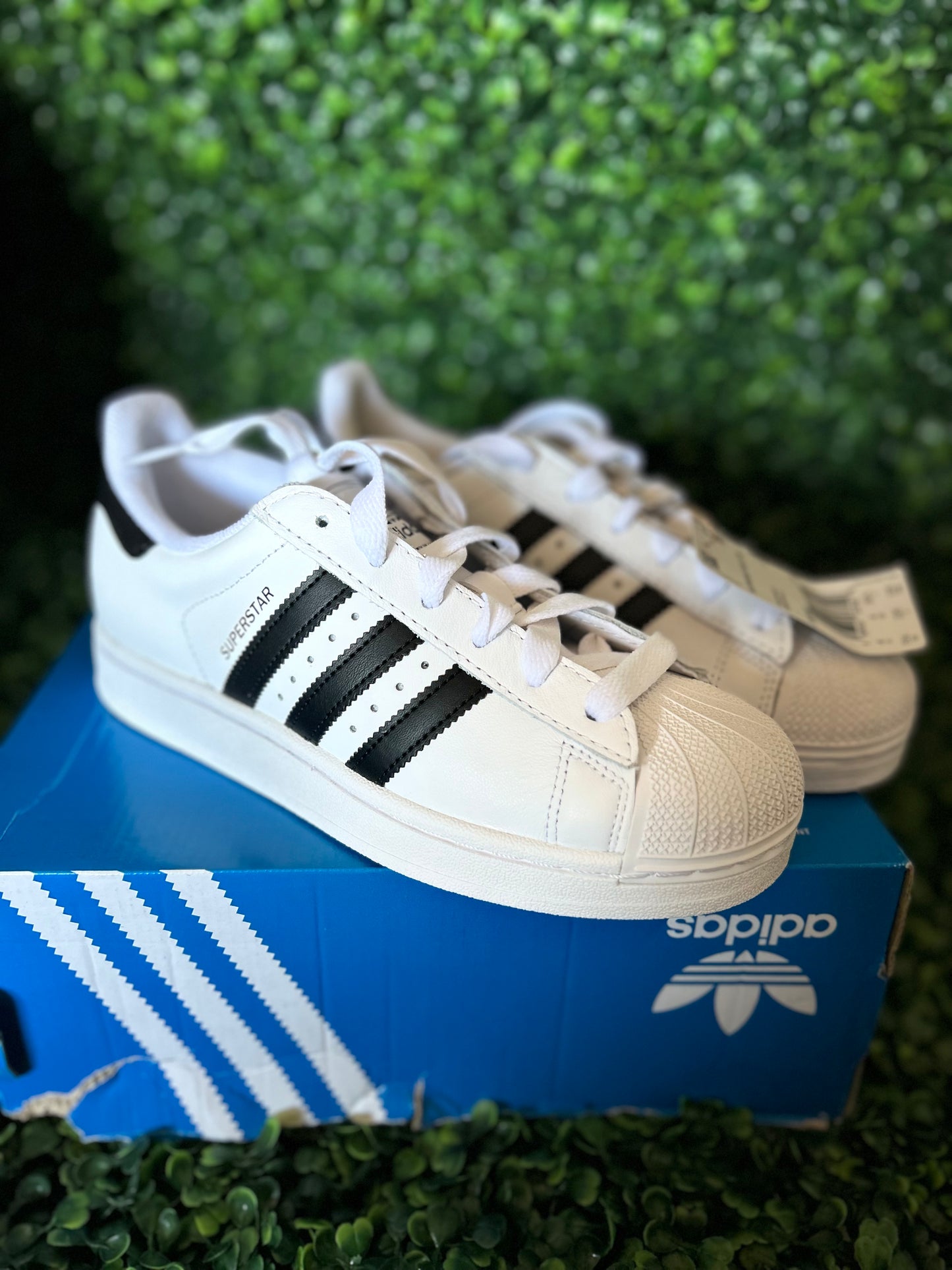 Adidas superstar size 5.5 wmns