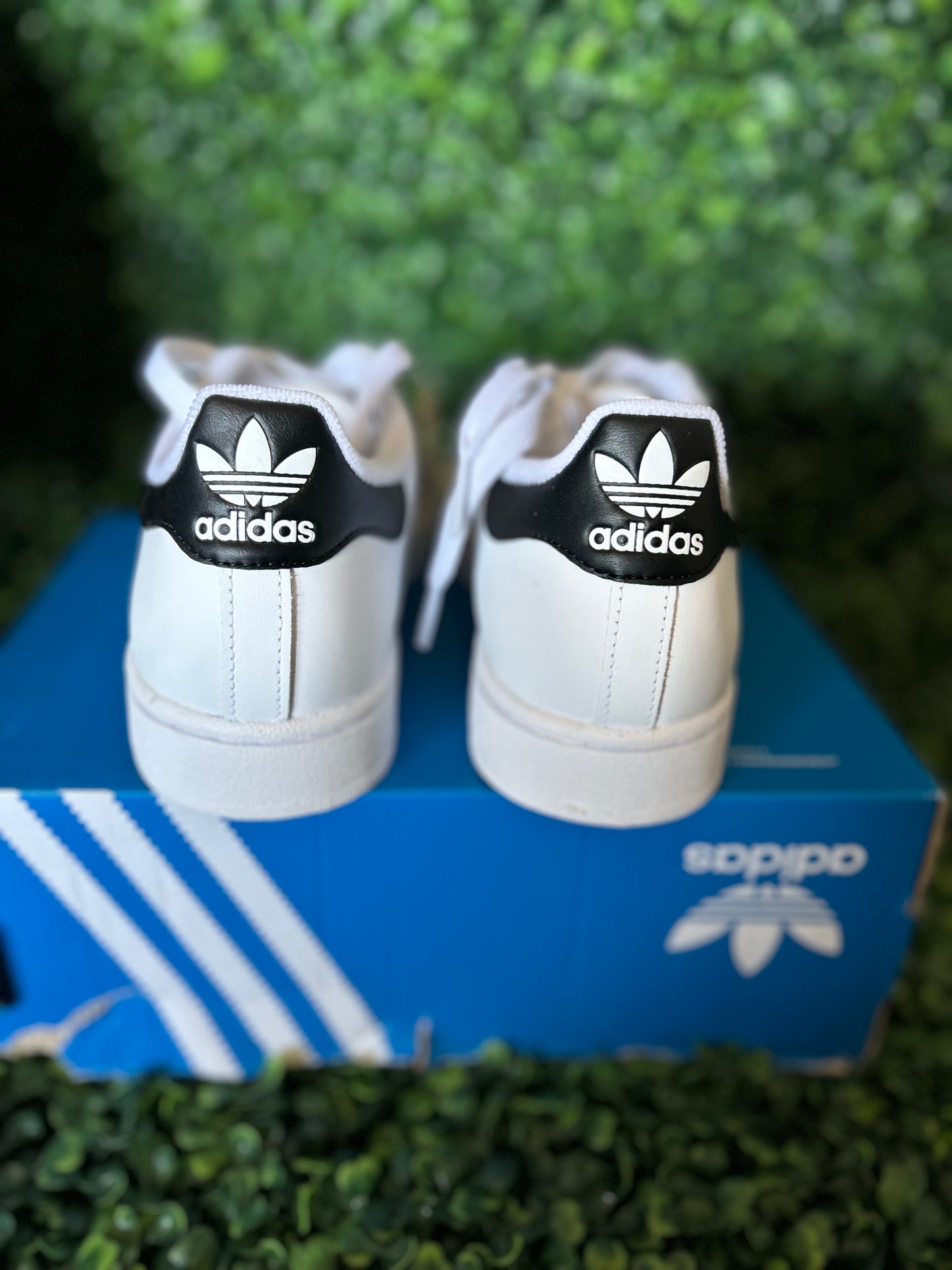 Adidas superstar size 5.5 wmns