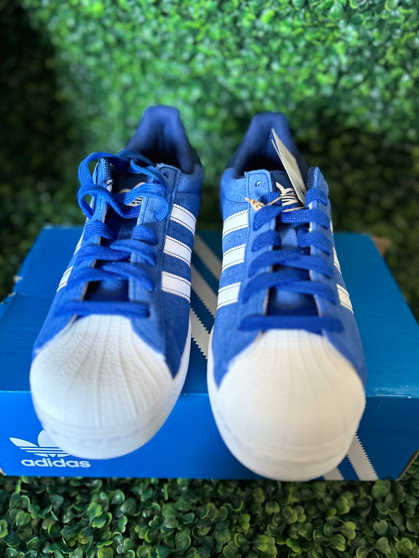 Adidas superstar size 8.5, 9, 9.5, 10