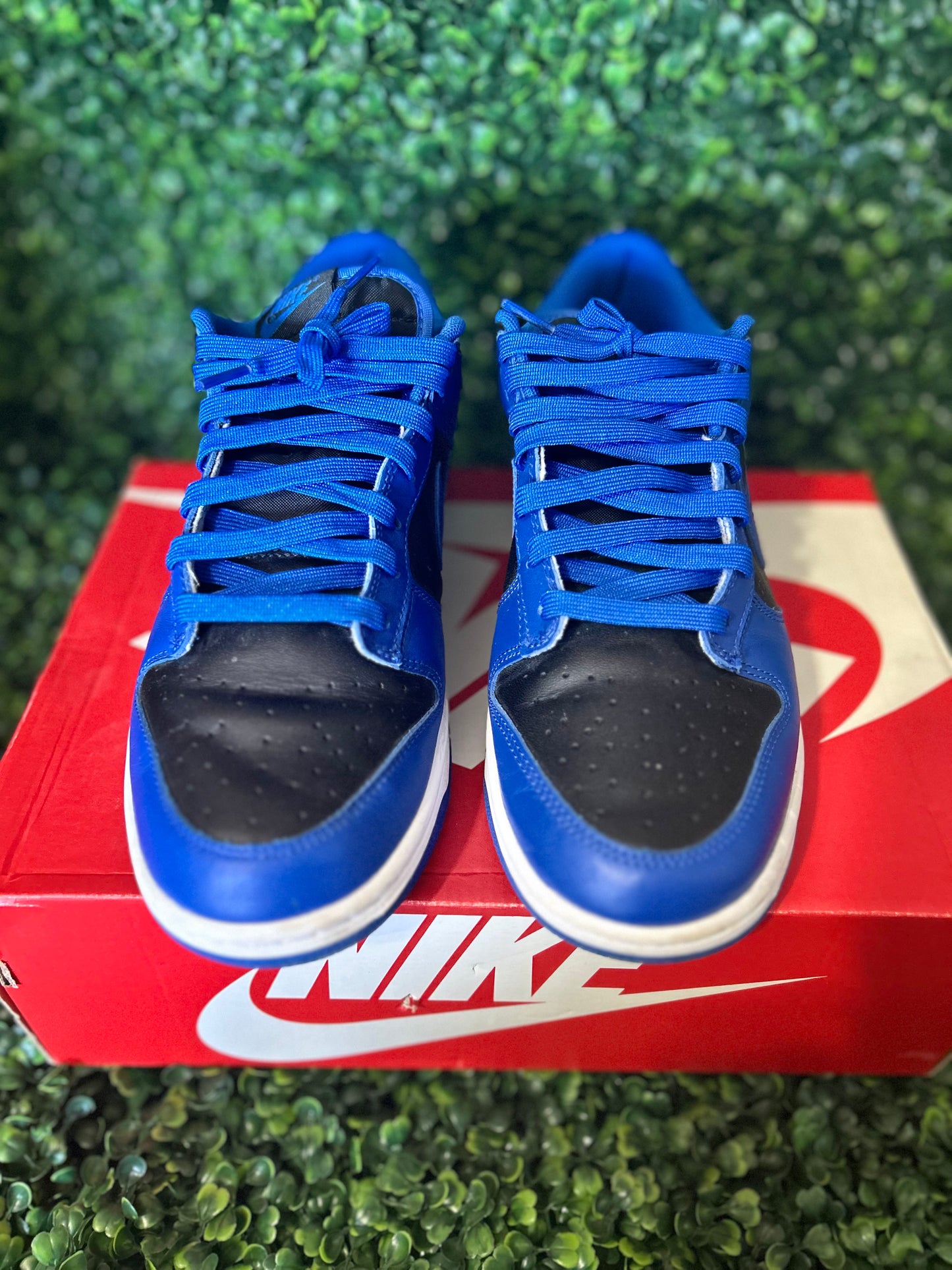 Nike dunk size 10