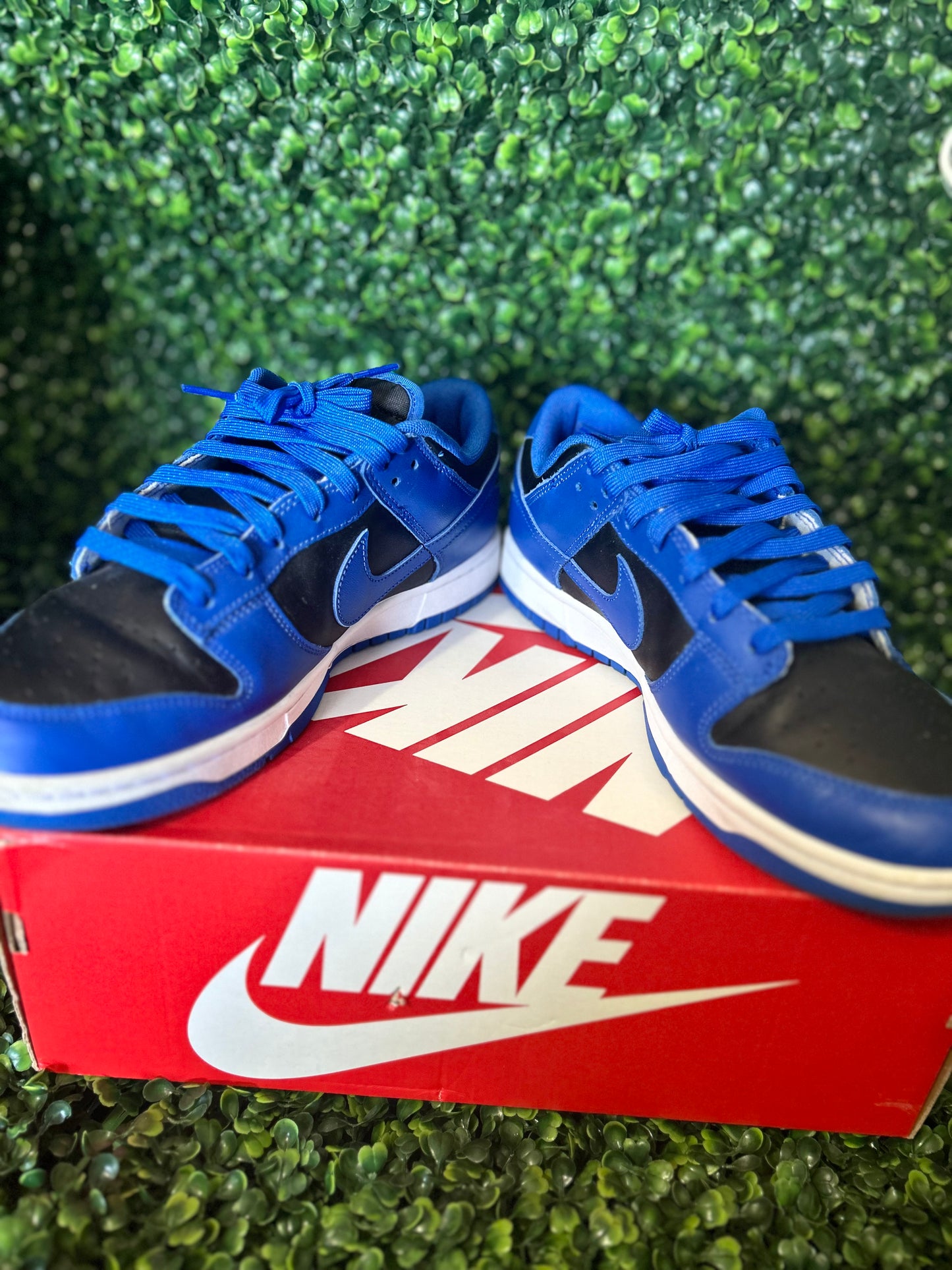 Nike dunk size 10